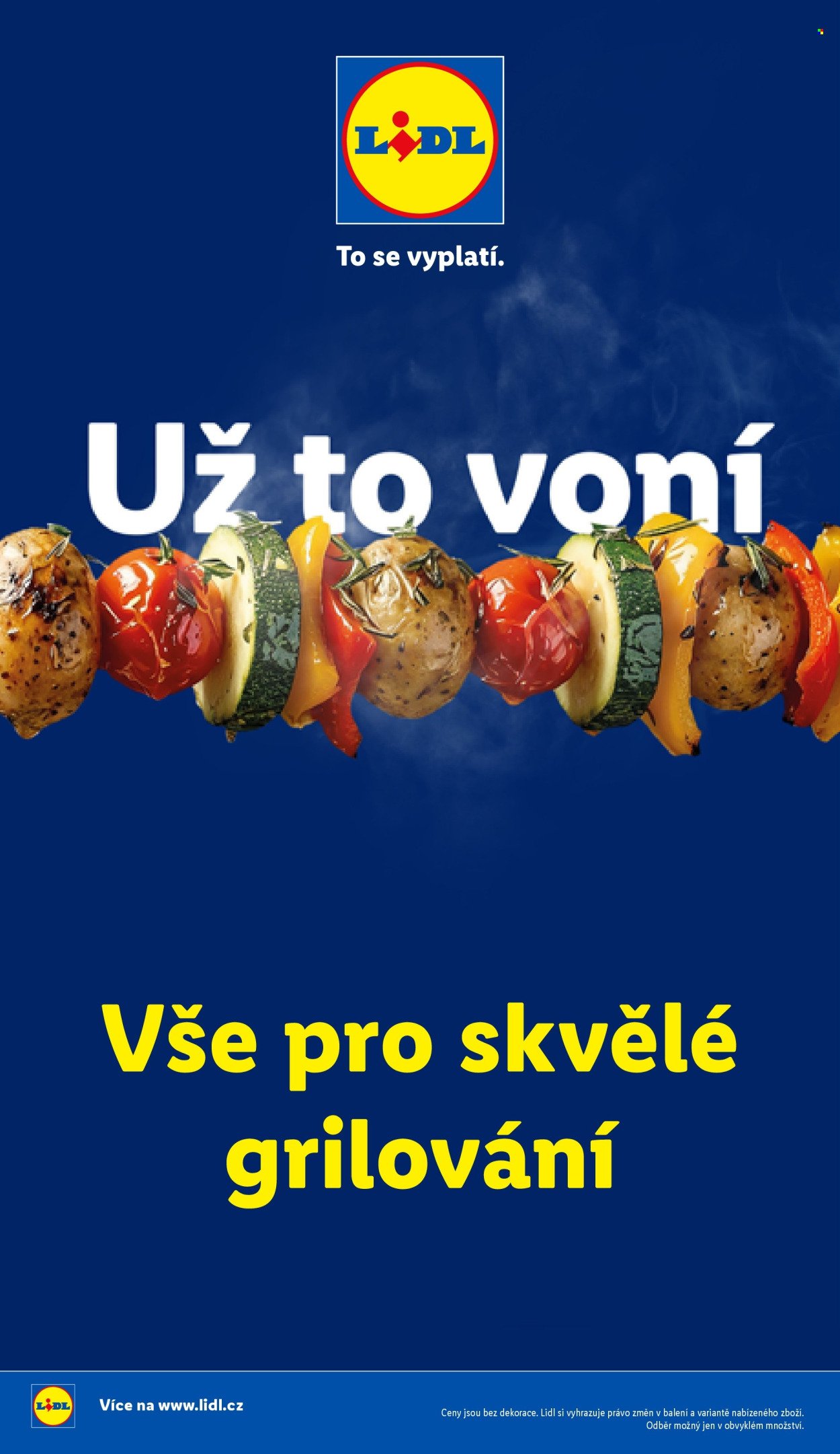 LIDL leták - Vše pro skvělé grilování (2026-05-05)