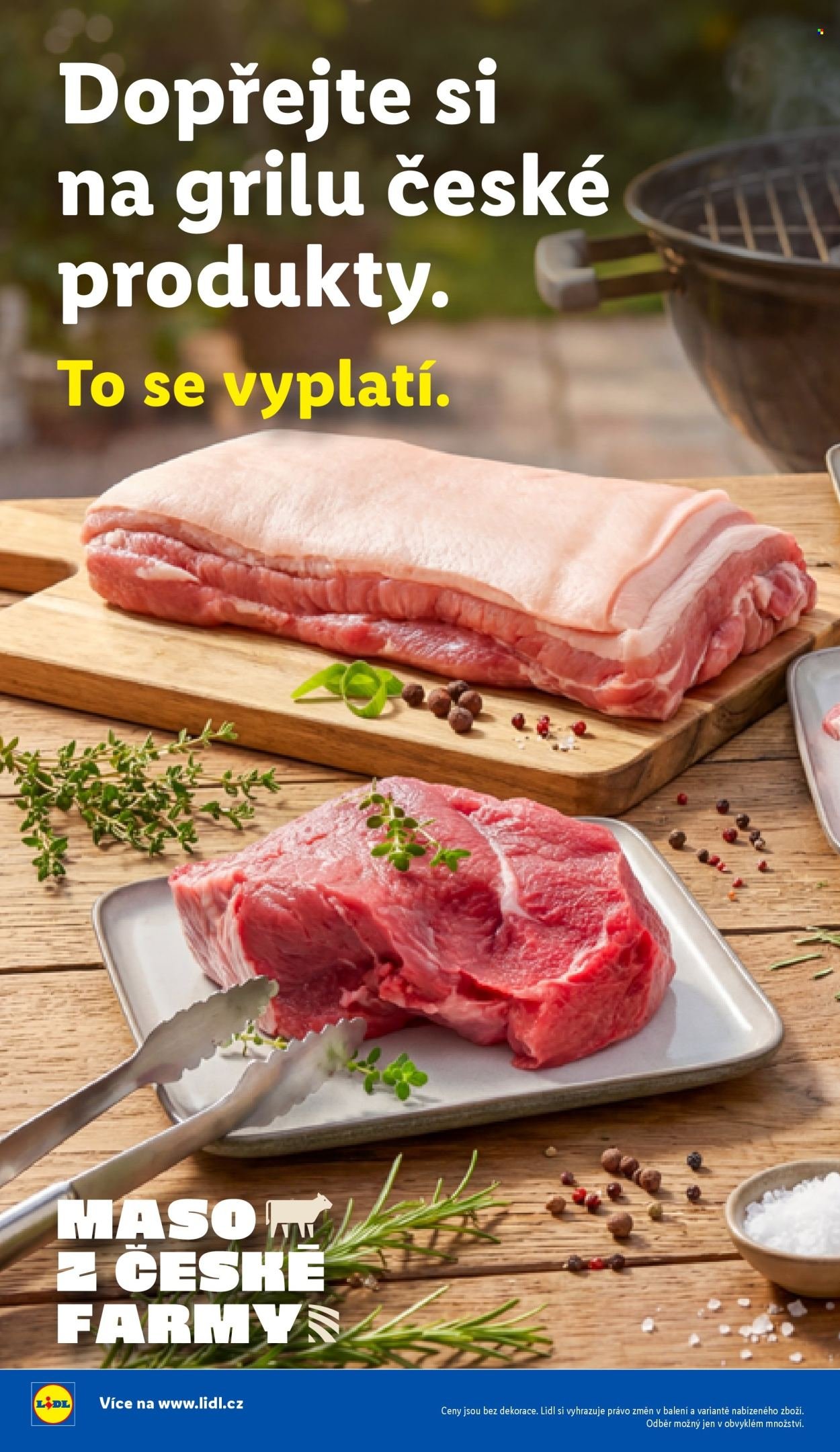 LIDL leták - Vše pro skvělé grilování (2026-05-05)