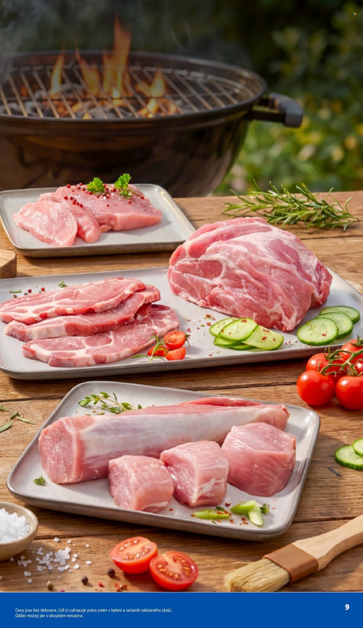 LIDL leták - Vše pro skvělé grilování (2026-05-05)