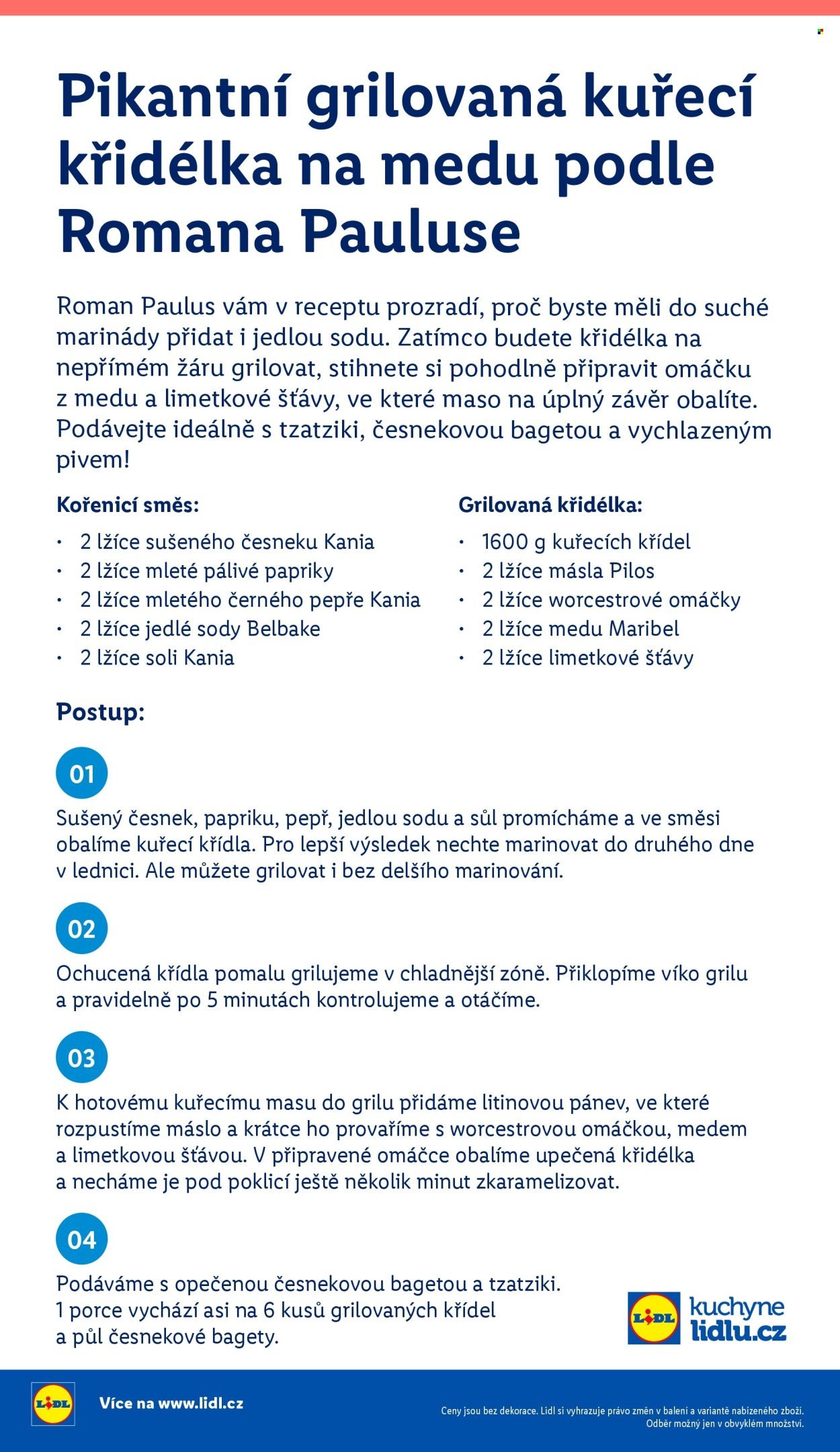 LIDL leták - Vše pro skvělé grilování (2026-05-05)