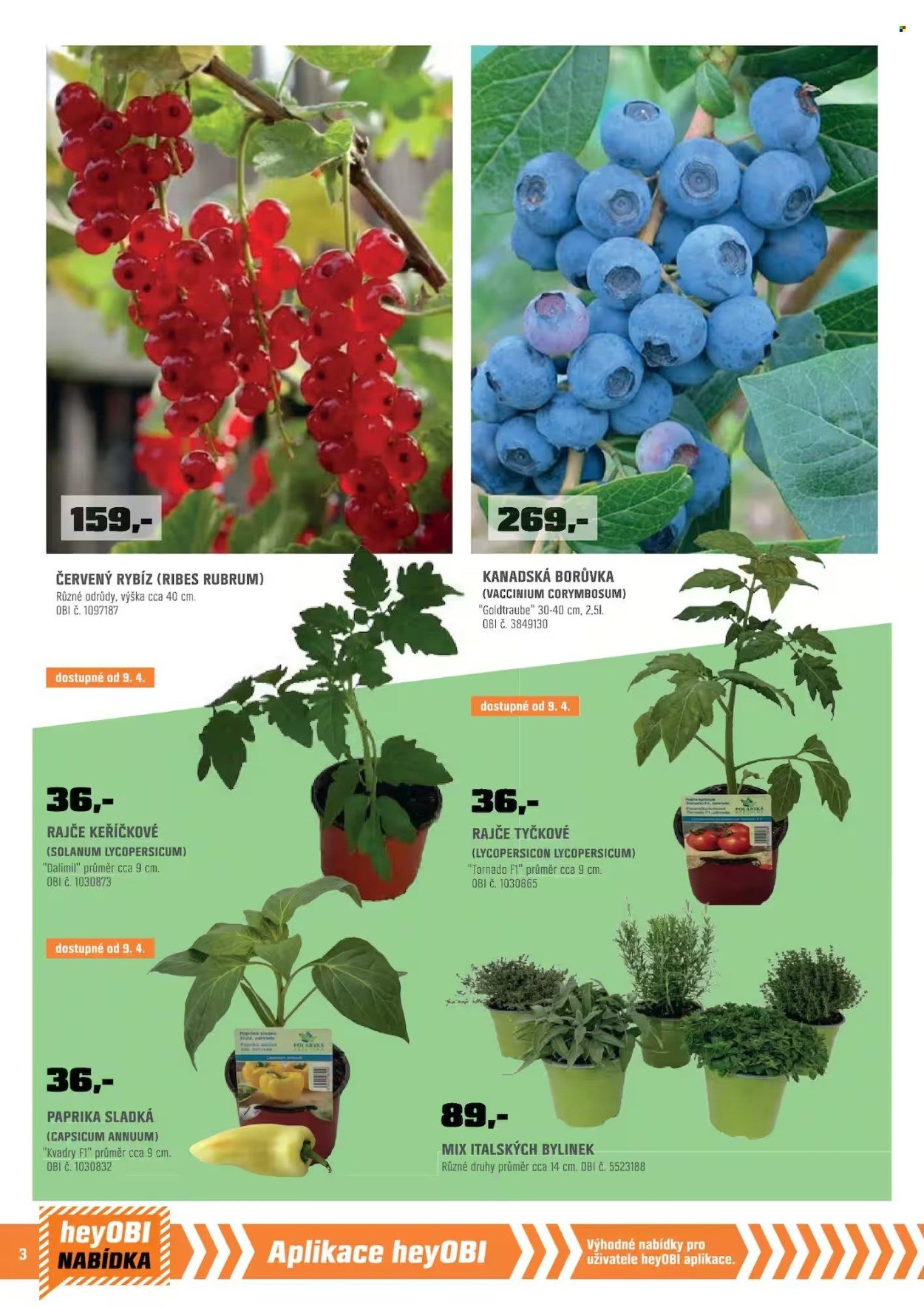 OBI leták - Bobří síla v akci (2026-04-01 - 2026-04-30)