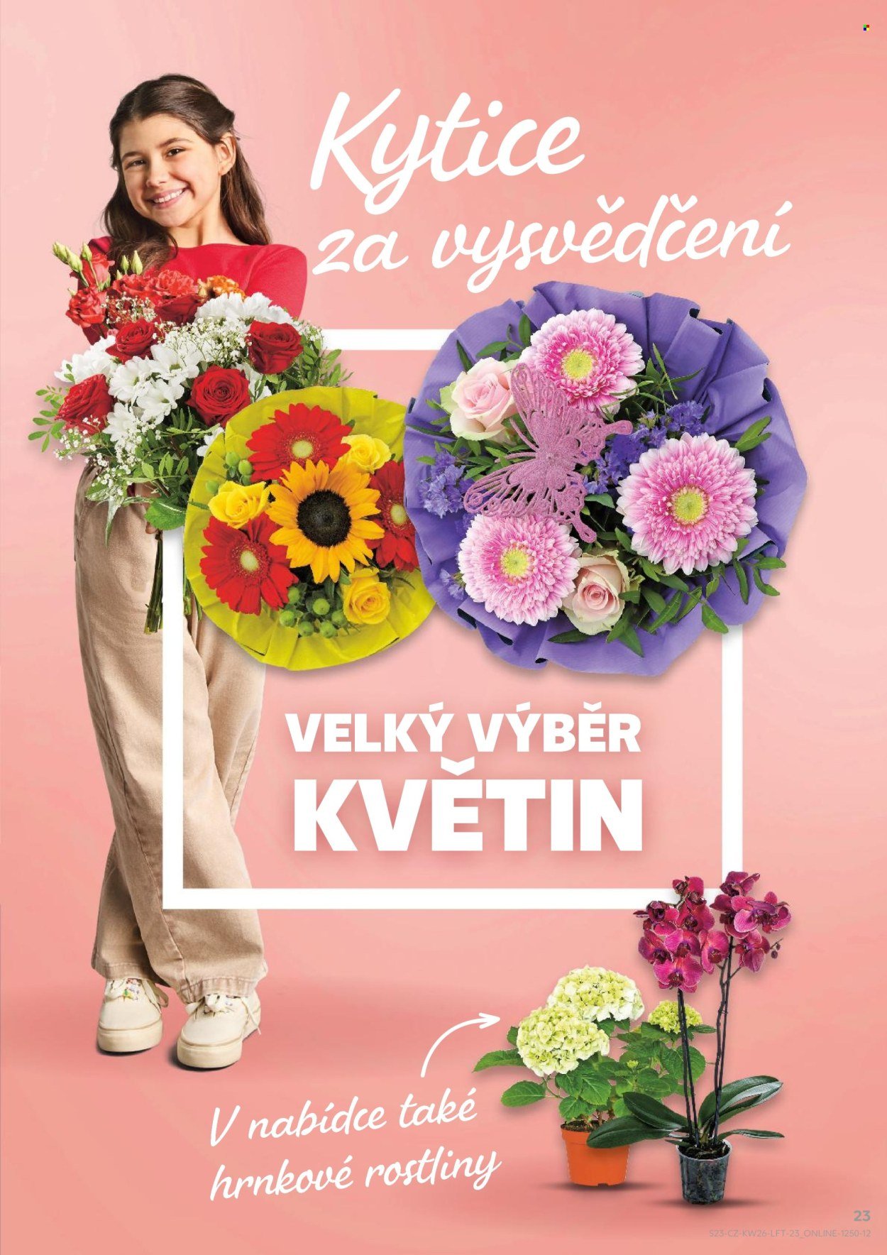 KAUFLAND leták - Od středy 24.6.2026
