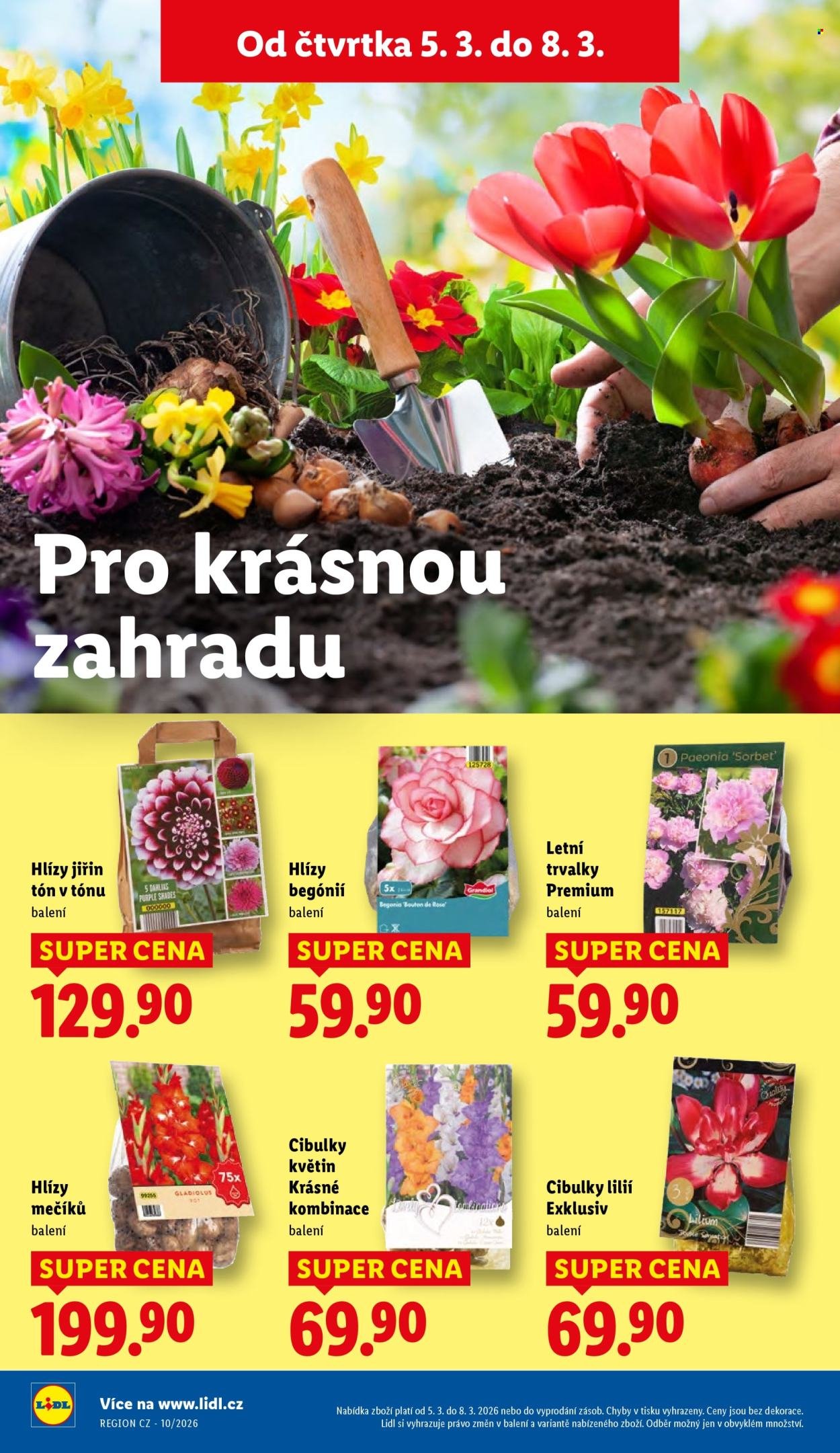 LIDL leták - Od čtvrtka 5.3.2026 (2026-03-05 - 2026-03-08)