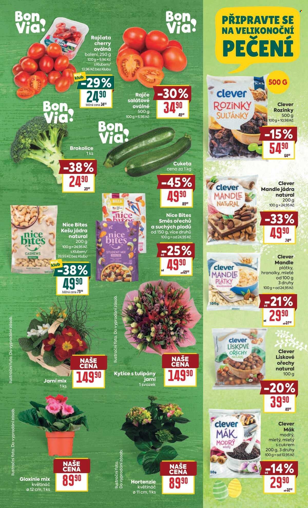 BILLA leták - Velký leták (2026-03-11 - 2026-03-17)