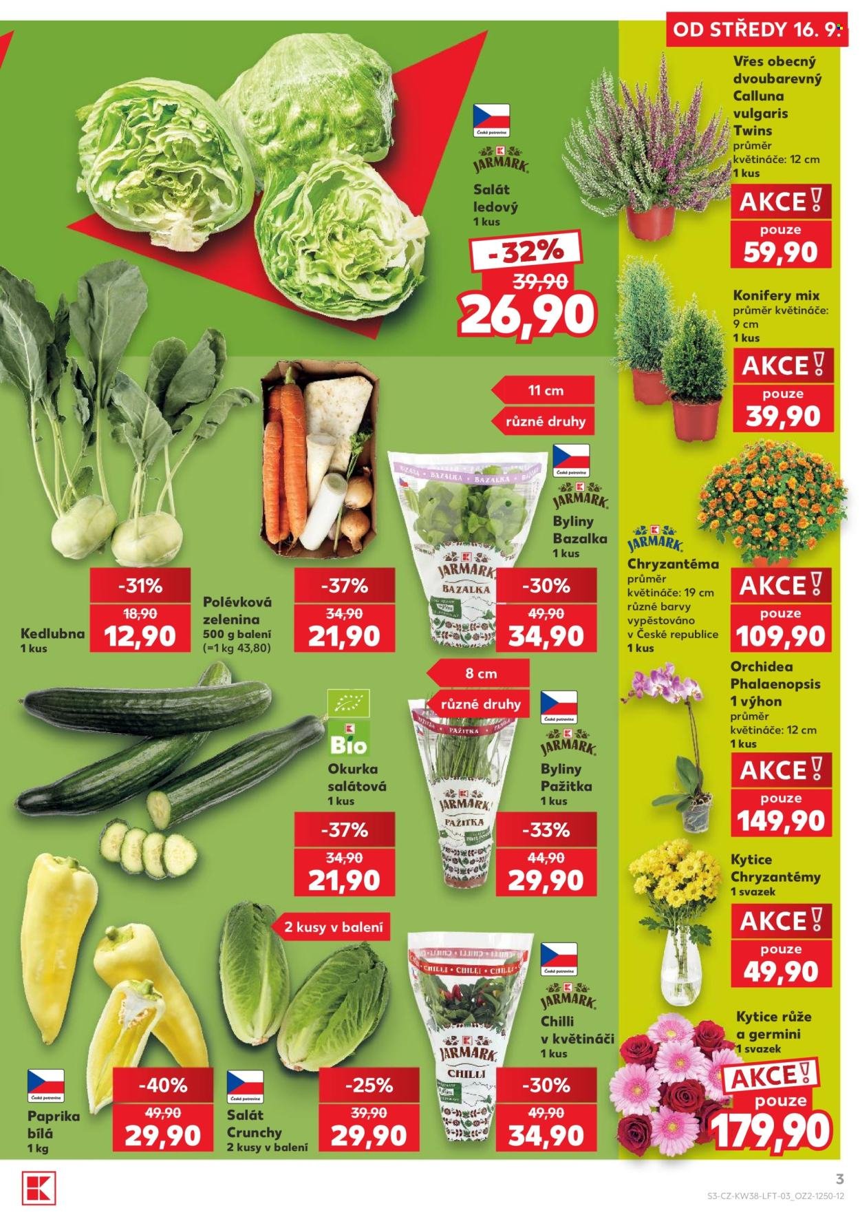 KAUFLAND leták - Od středy 16.9.2026