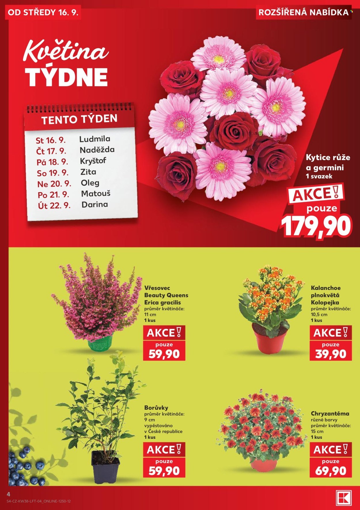 KAUFLAND leták - Od středy 16.9.2026