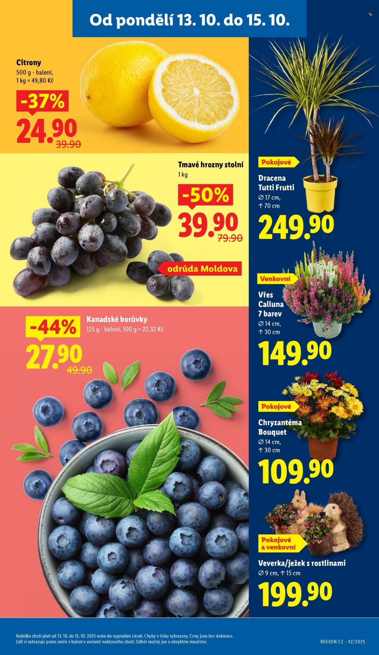 LIDL leták - Od pondělí 13.10.2025 (2025-10-13 - 2025-10-15)
