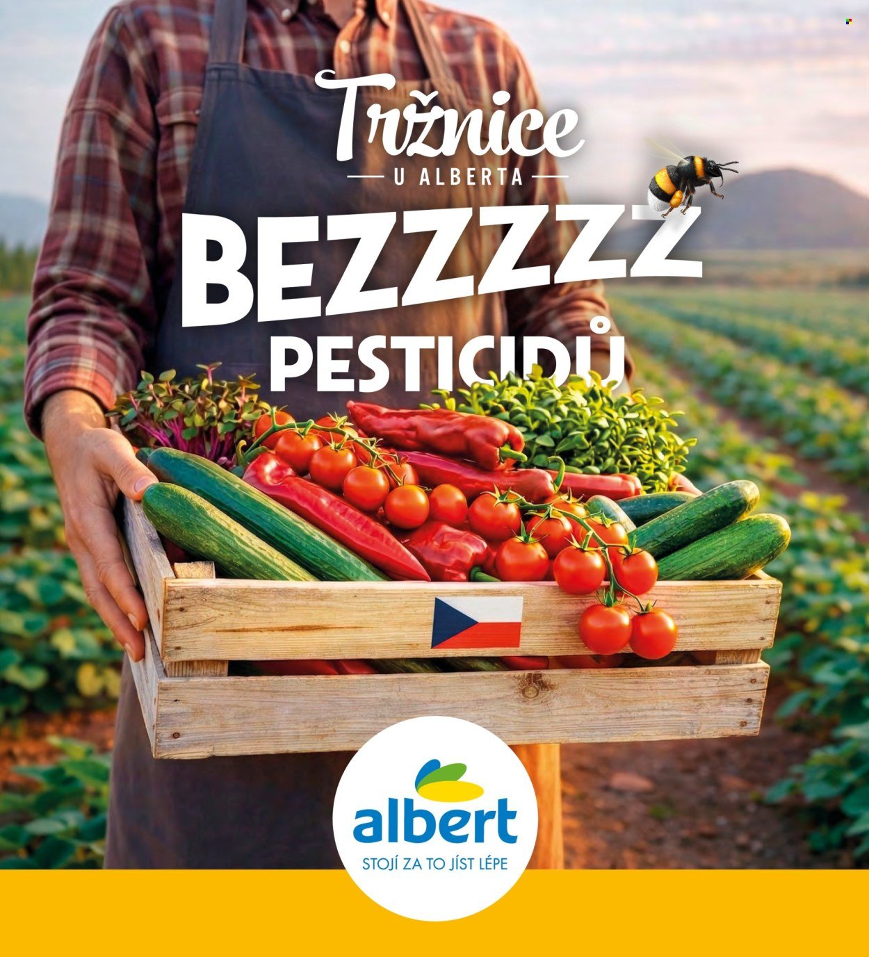 ALBERT leták - Magazín