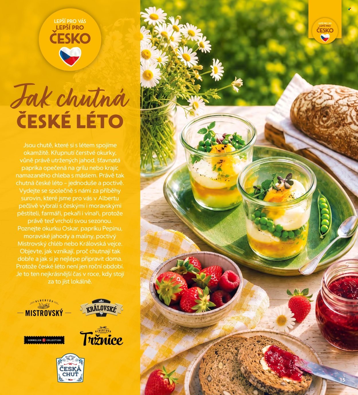 ALBERT leták - Magazín