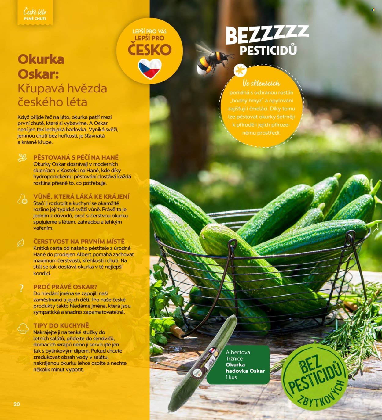 ALBERT leták - Magazín