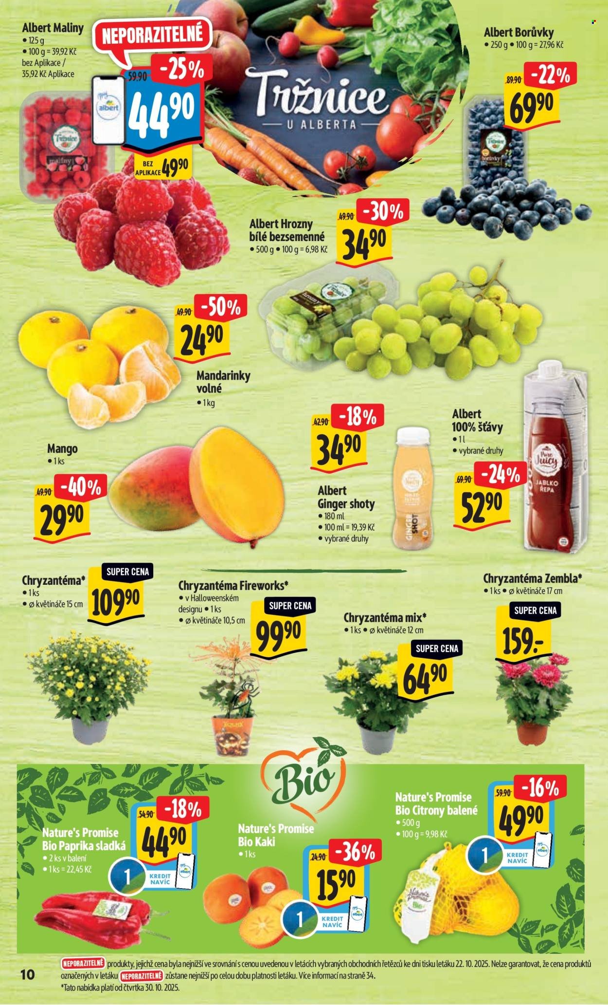 ALBERT leták - Neporazitelné (2025-10-29 - 2025-11-04)