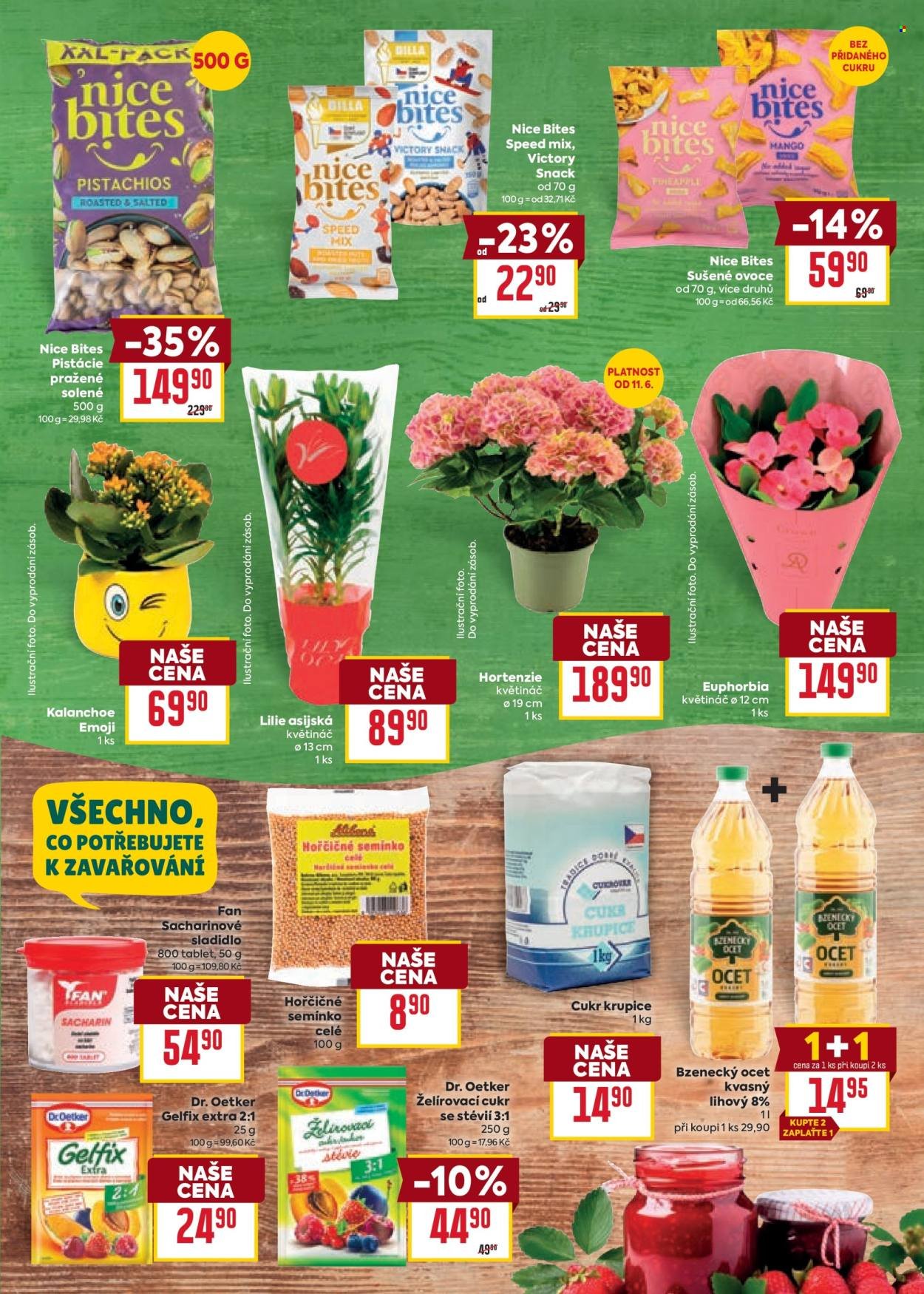 BILLA leták - Velký leták