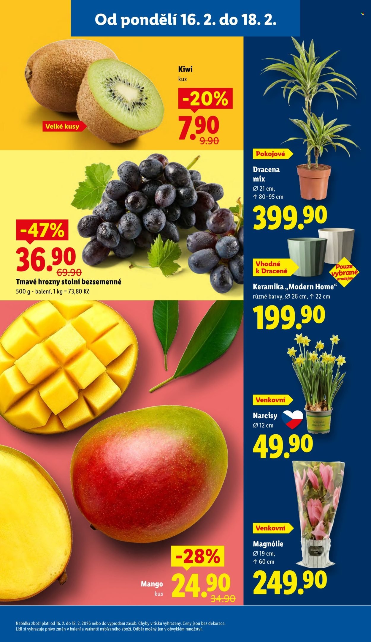 LIDL leták - Od pondělí 16.2.2026 (2026-02-16 - 2026-02-18)