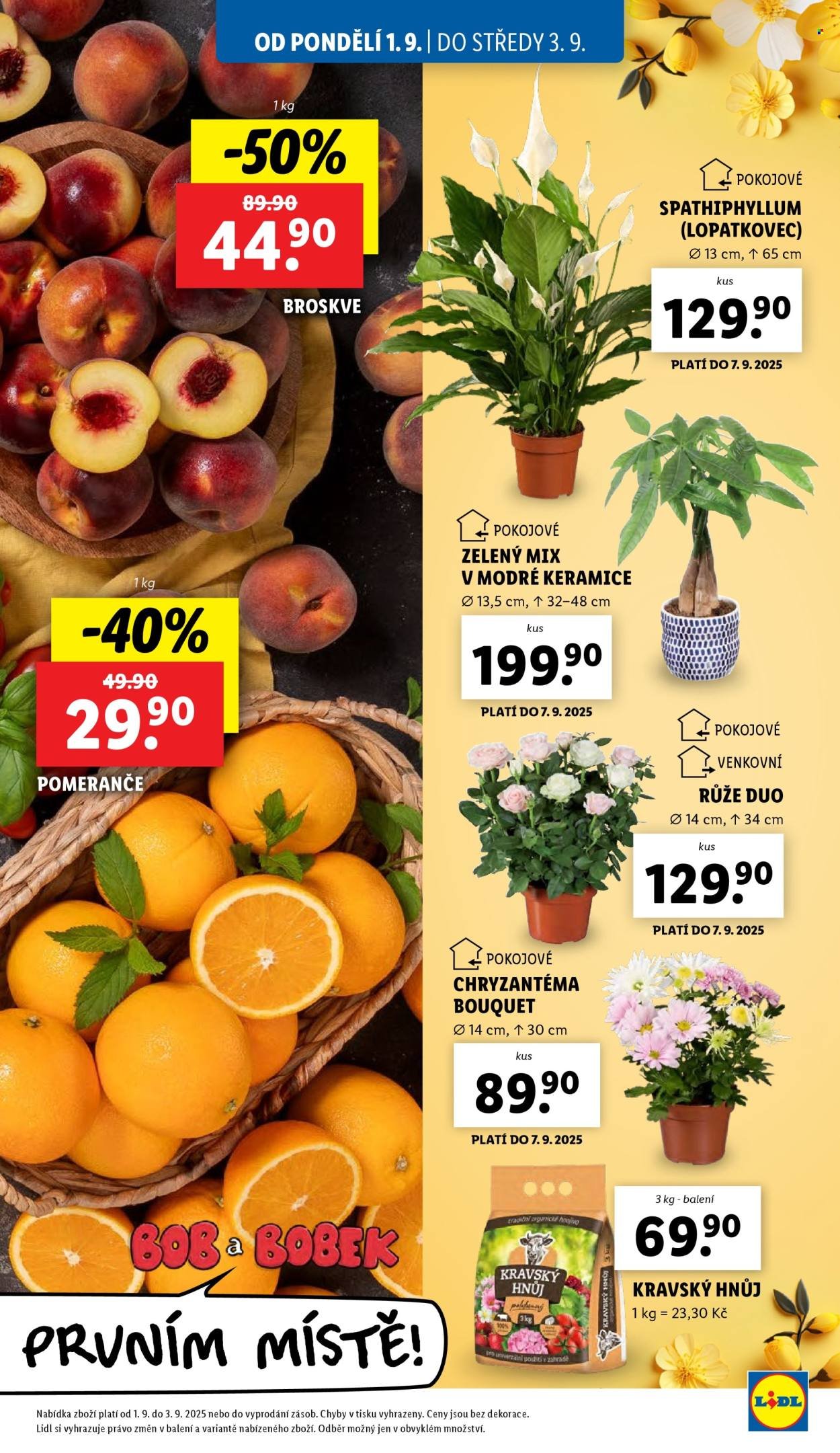 LIDL leták - Od pondělí 1.9.2025 (2025-09-01 - 2025-09-03)