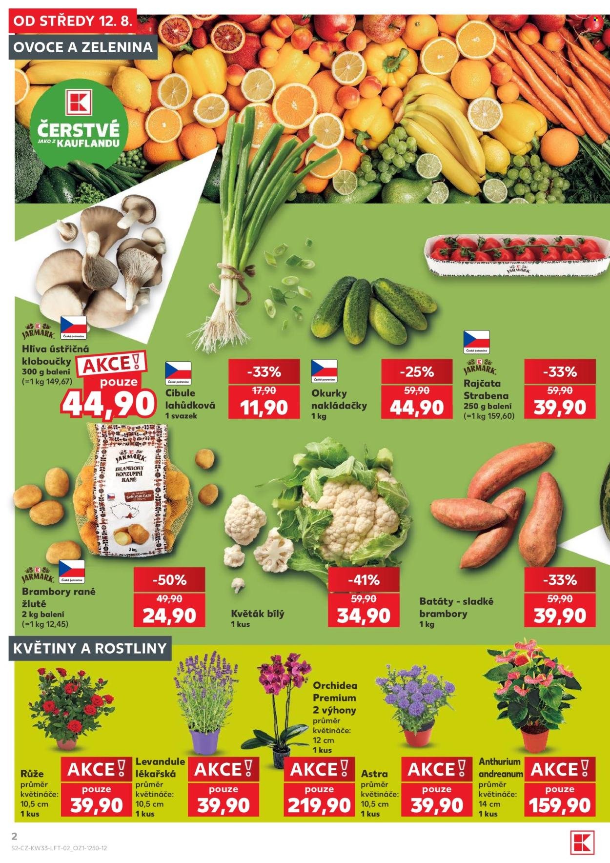KAUFLAND leták - Od středy 12.8.2026