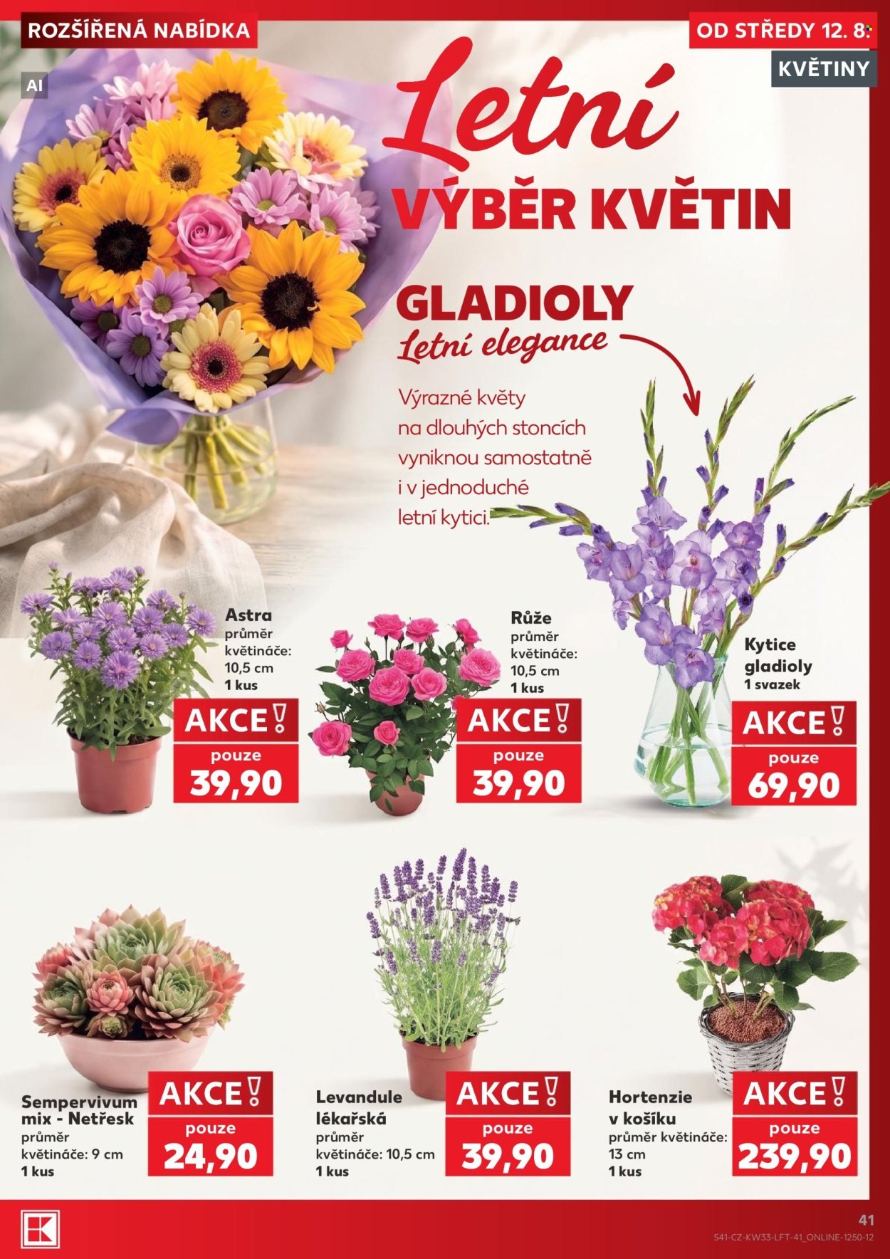 KAUFLAND leták - Od středy 12.8.2026