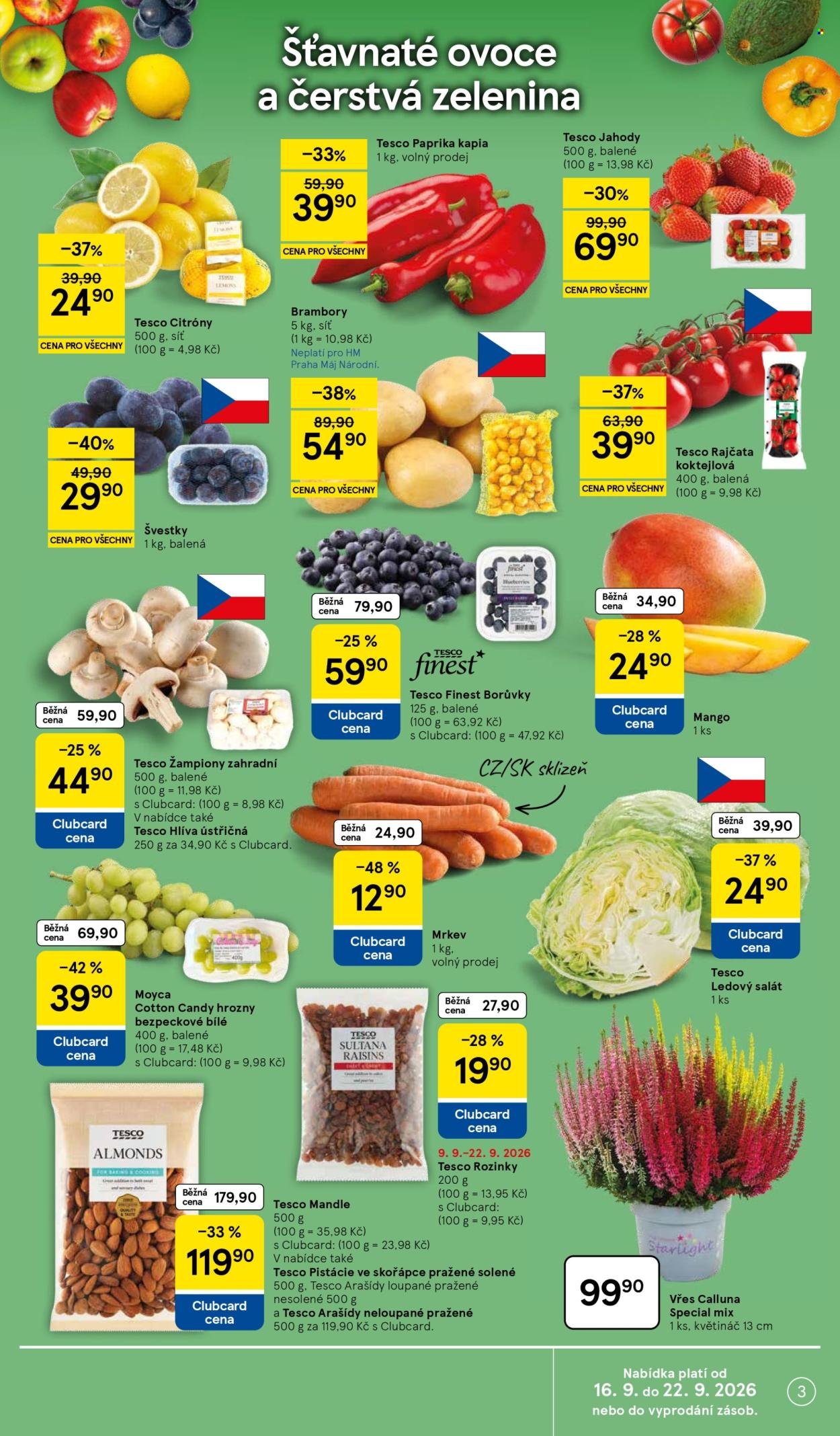 TESCO leták - Super výhodné