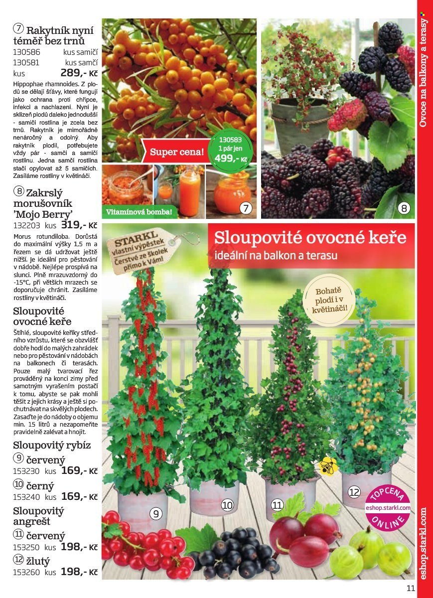 STARKL leták - Starkl (2025-08-02)