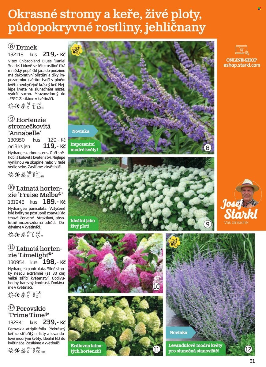 STARKL leták - Starkl (2025-08-02)