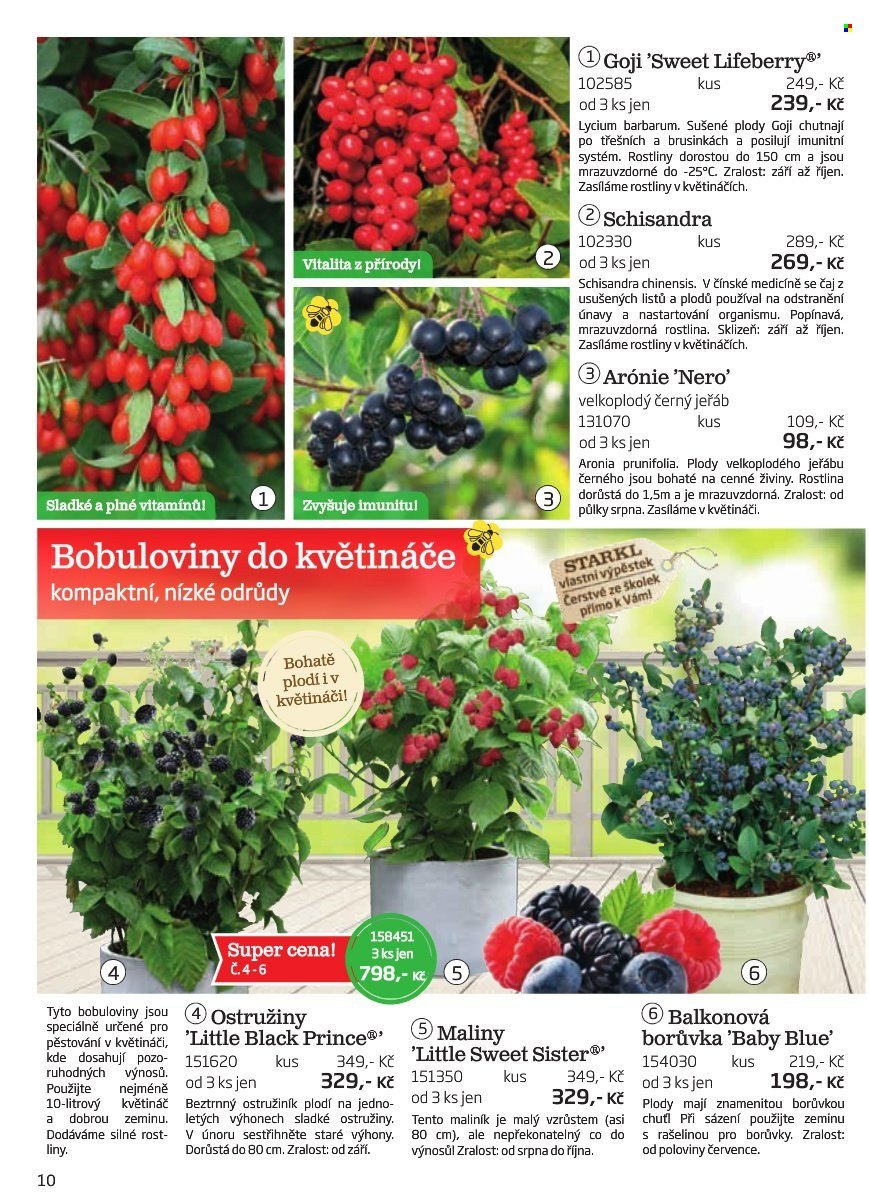 STARKL leták - Starkl (2025-08-02)