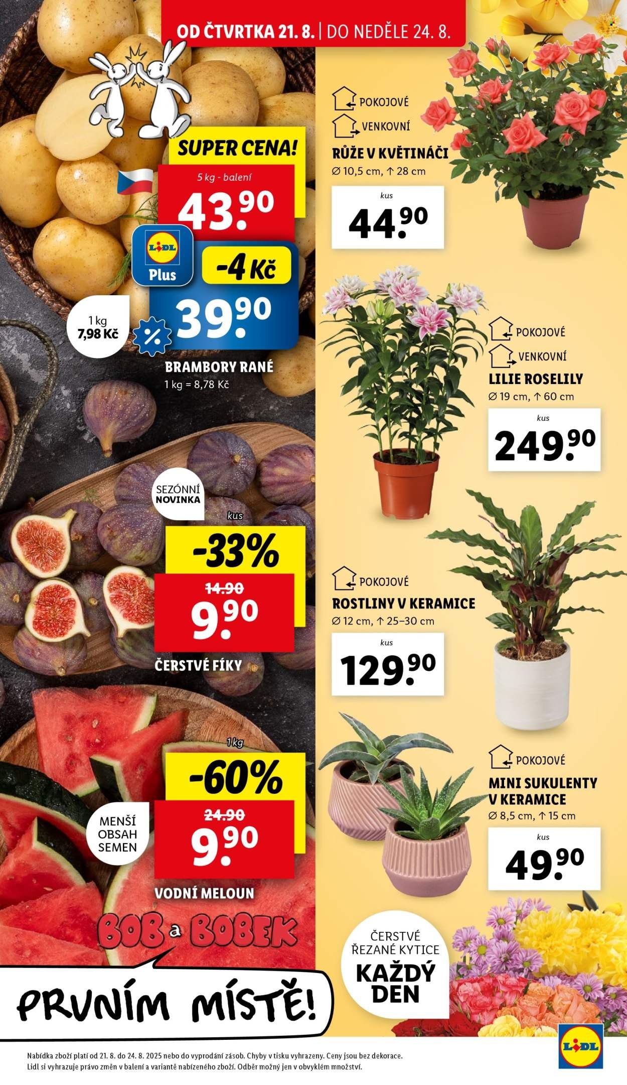 LIDL leták - Od čtvrtka 21.8.2025 (2025-08-21 - 2025-08-24)