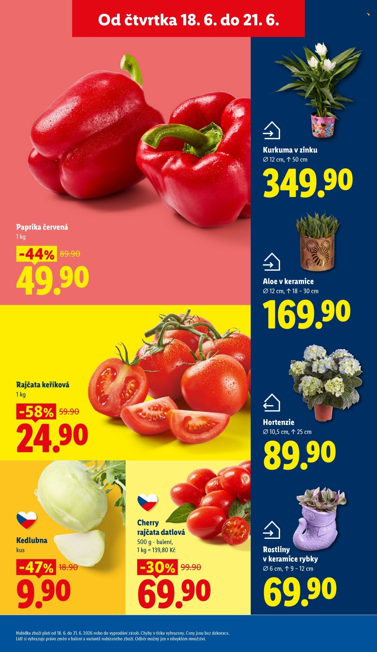 LIDL leták - Od čtvrtka 18.6.2026
