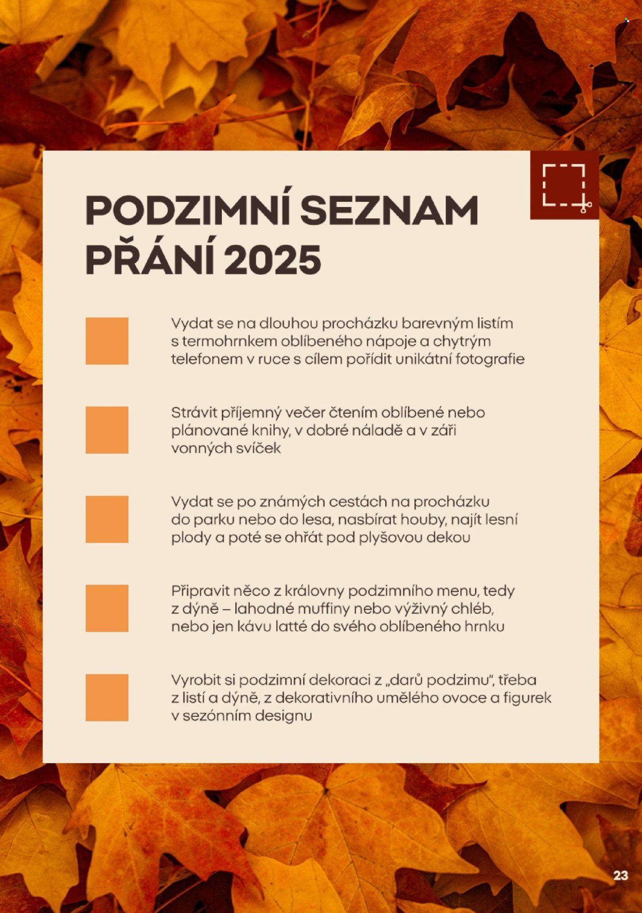 PEPCO leták - Autumn lover (2025-10-05)