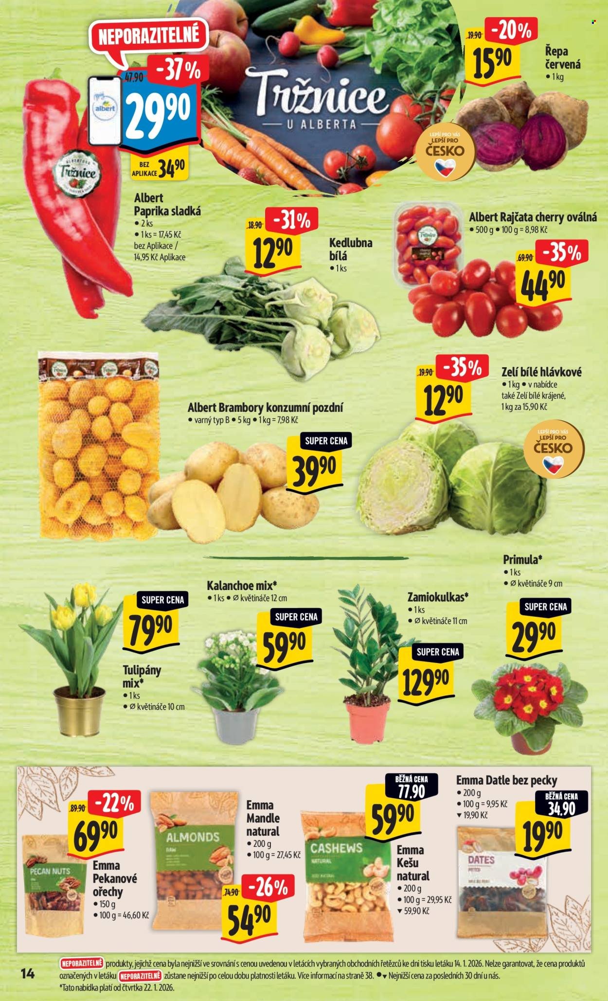 ALBERT leták - Neporazitelné (2026-01-21 - 2026-01-27)