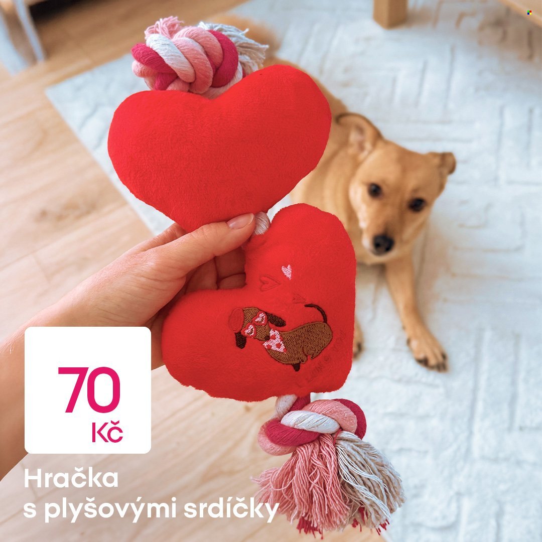 PEPCO leták - Nákupní úlovek pro čtyři tlapky (2026-02-02)