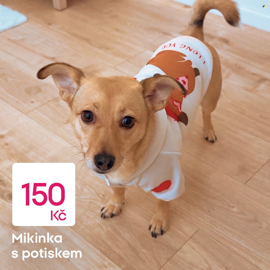 PEPCO leták - Nákupní úlovek pro čtyři tlapky (2026-02-02)