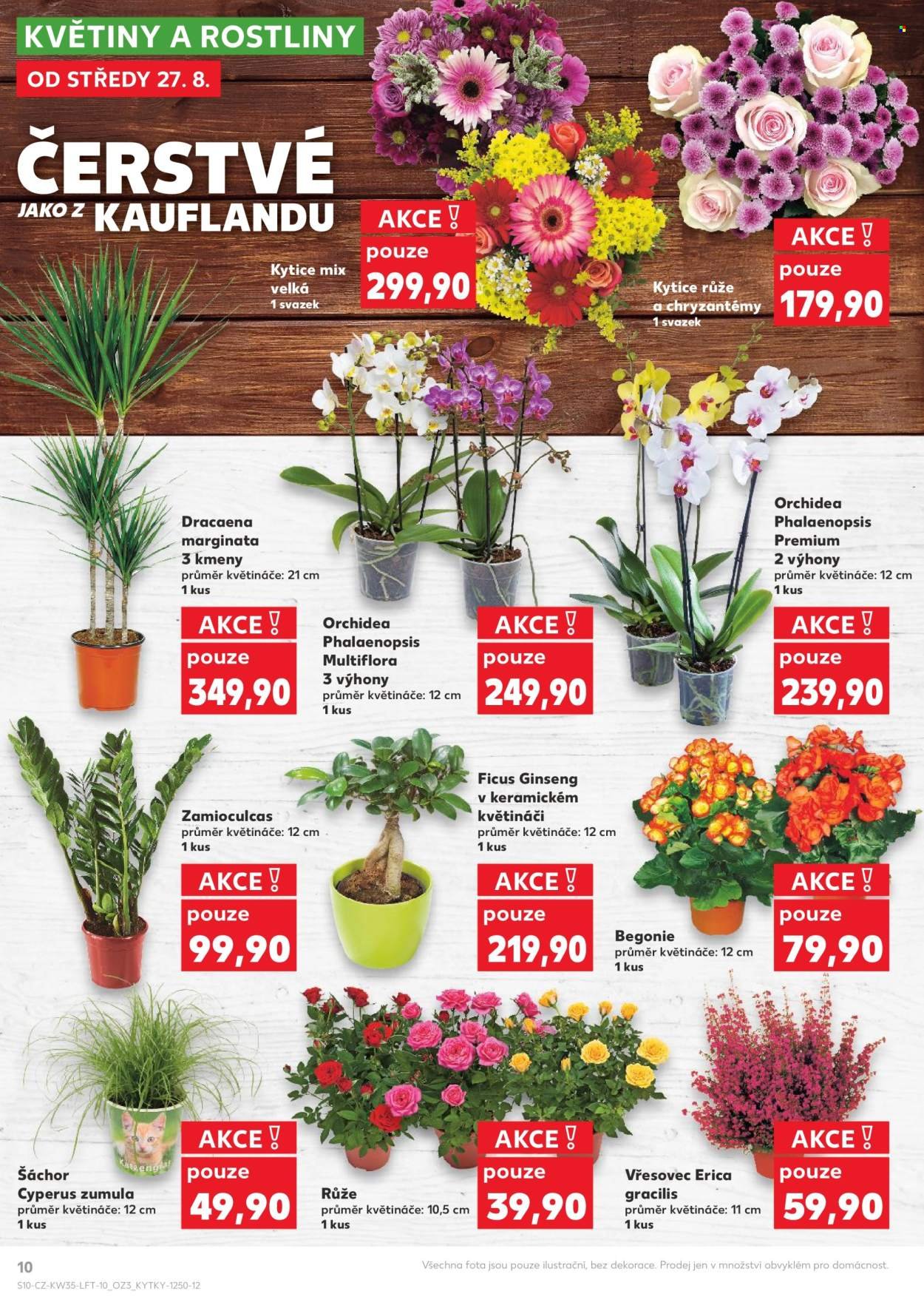 KAUFLAND leták - Od středy 27.8.2025 (2025-08-27 - 2025-09-02)