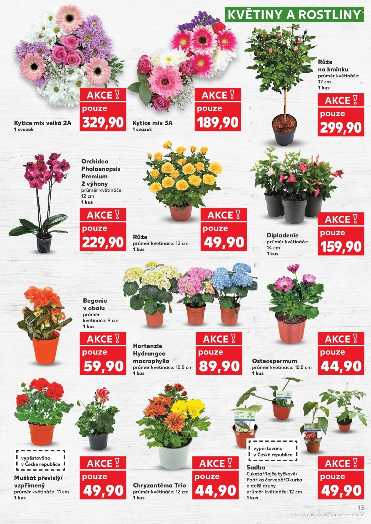 KAUFLAND leták - Od středy 29.4.2026 (2026-04-29 - 2026-05-05)