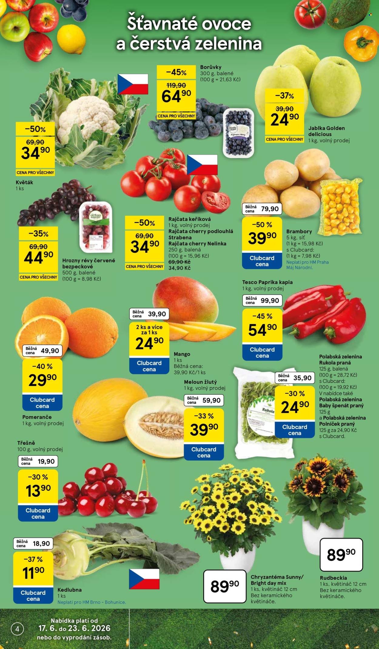 TESCO leták - Vaše šance skórovat