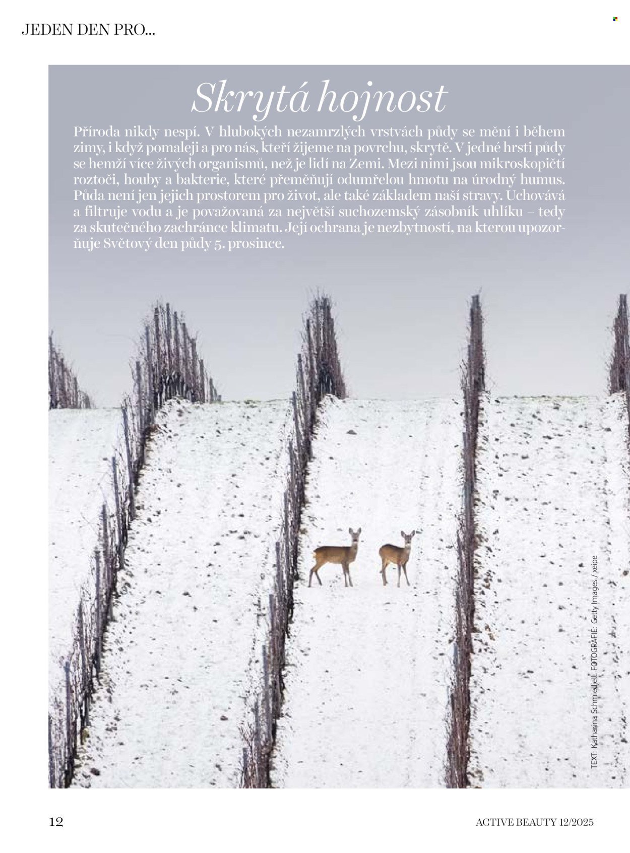 DM DROGERIE leták - Active Beauty (2025-12-05 - 2026-01-15)