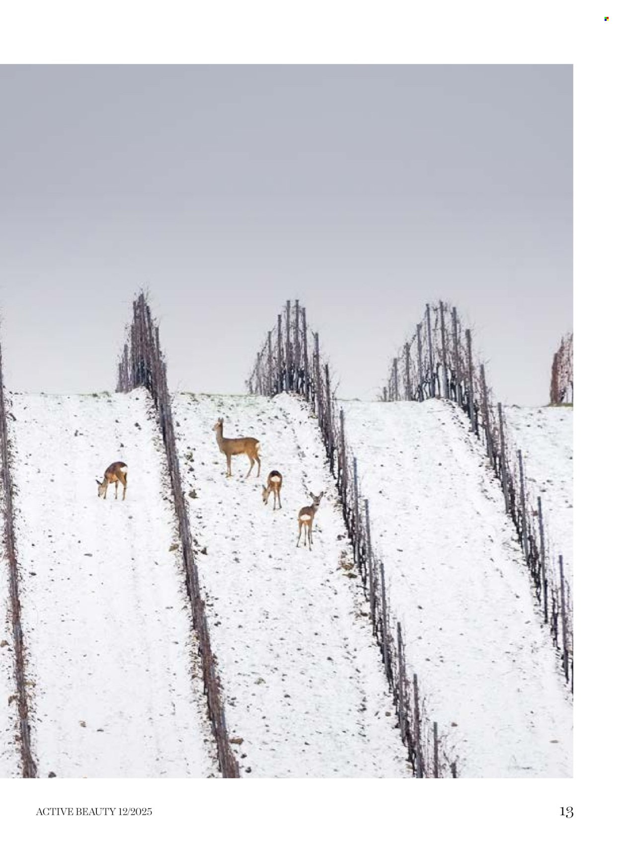 DM DROGERIE leták - Active Beauty (2025-12-05 - 2026-01-15)