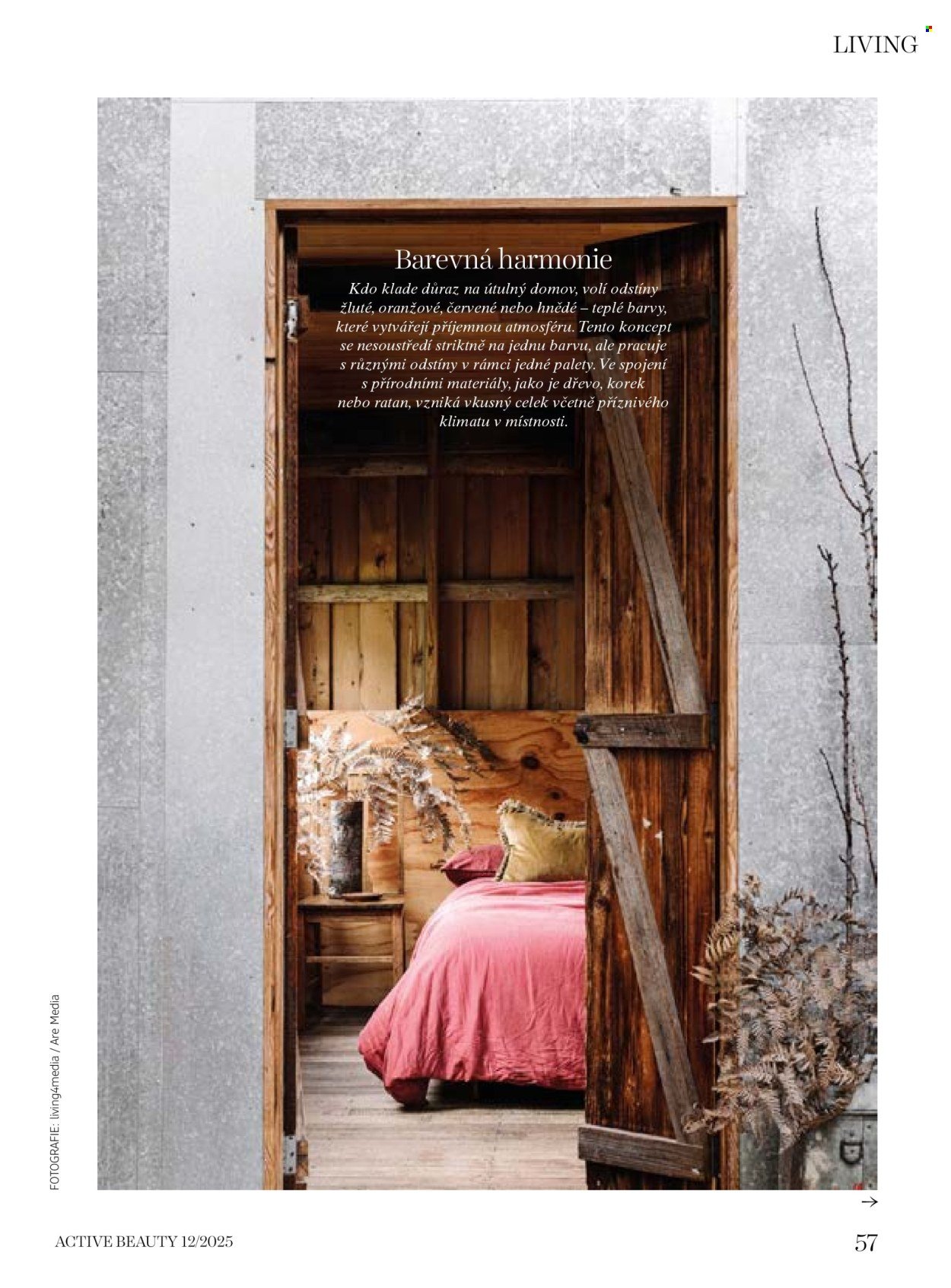 DM DROGERIE leták - Active Beauty (2025-12-05 - 2026-01-15)