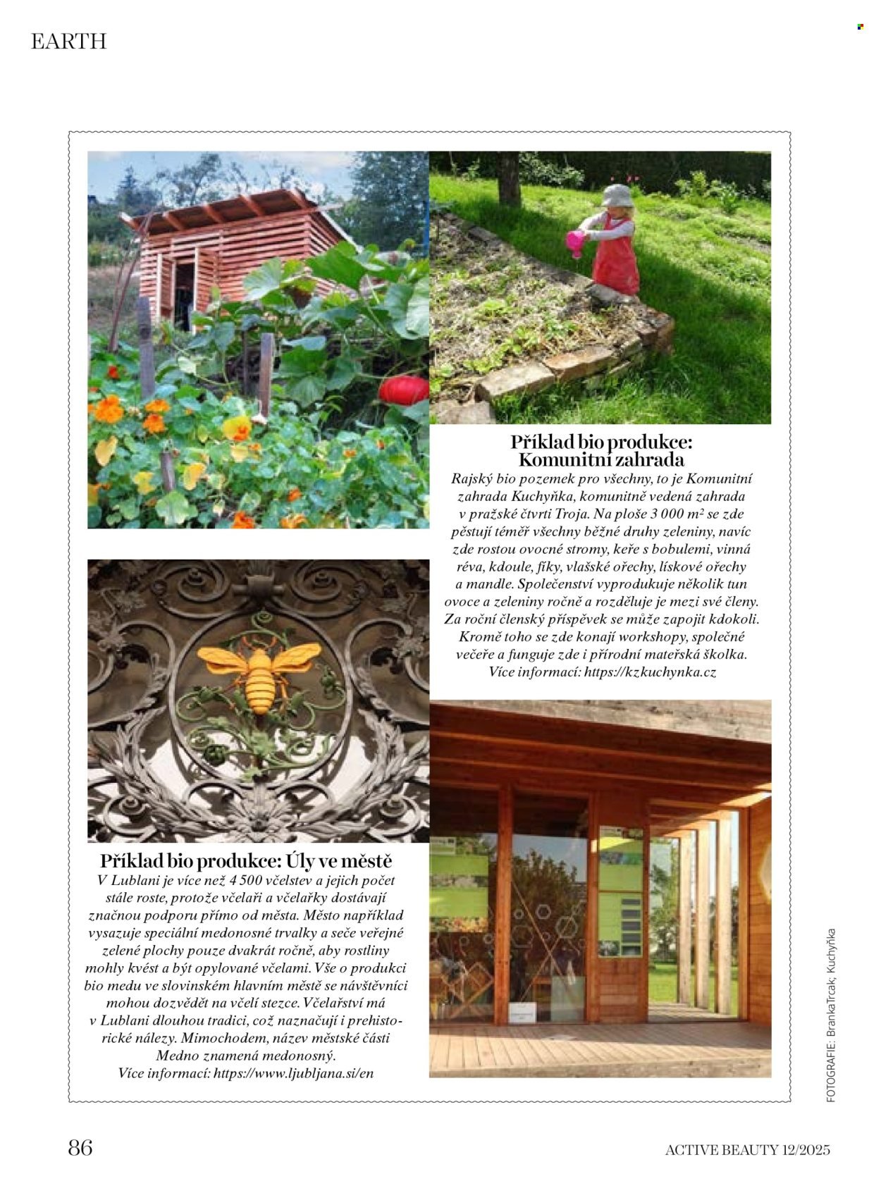 DM DROGERIE leták - Active Beauty (2025-12-05 - 2026-01-15)