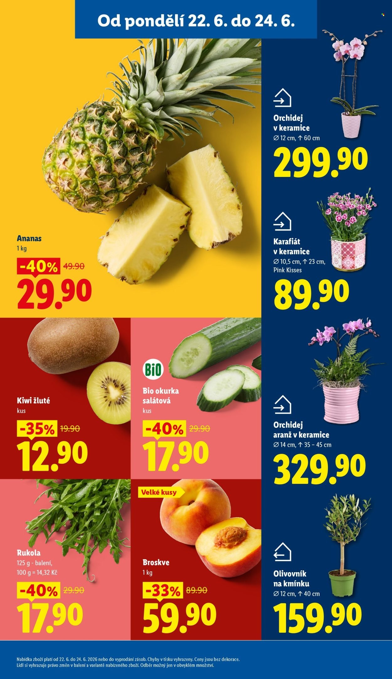 LIDL leták - Od pondělí 22.6.2026
