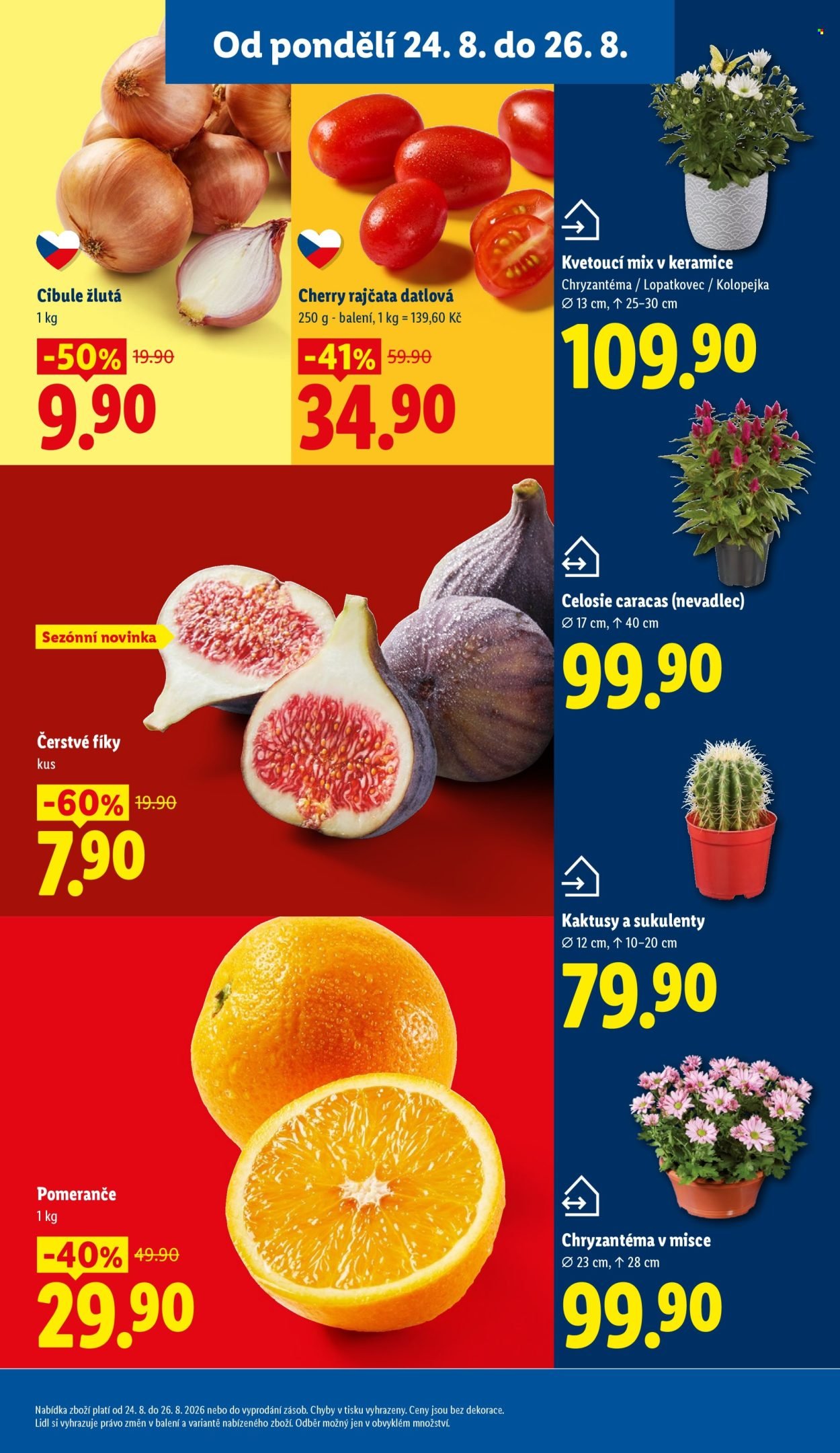 LIDL leták - Od pondělí 24.8.2026