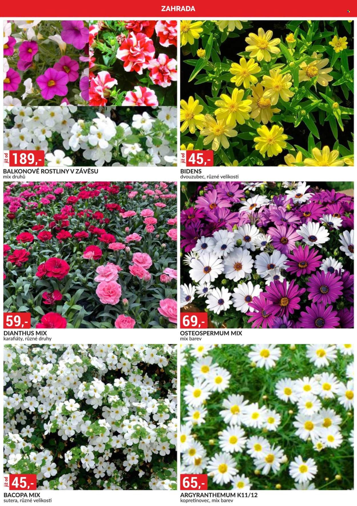 BAUMAX leták - Od pátku 1.5.2026 (2026-05-01 - 2026-05-31)