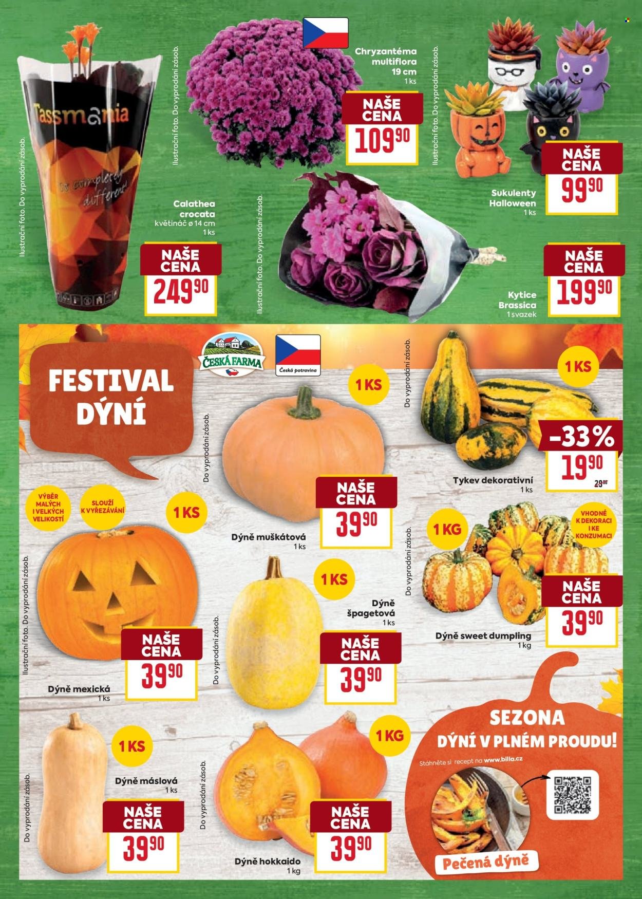 BILLA leták - Velký leták (2025-10-29 - 2025-11-04)