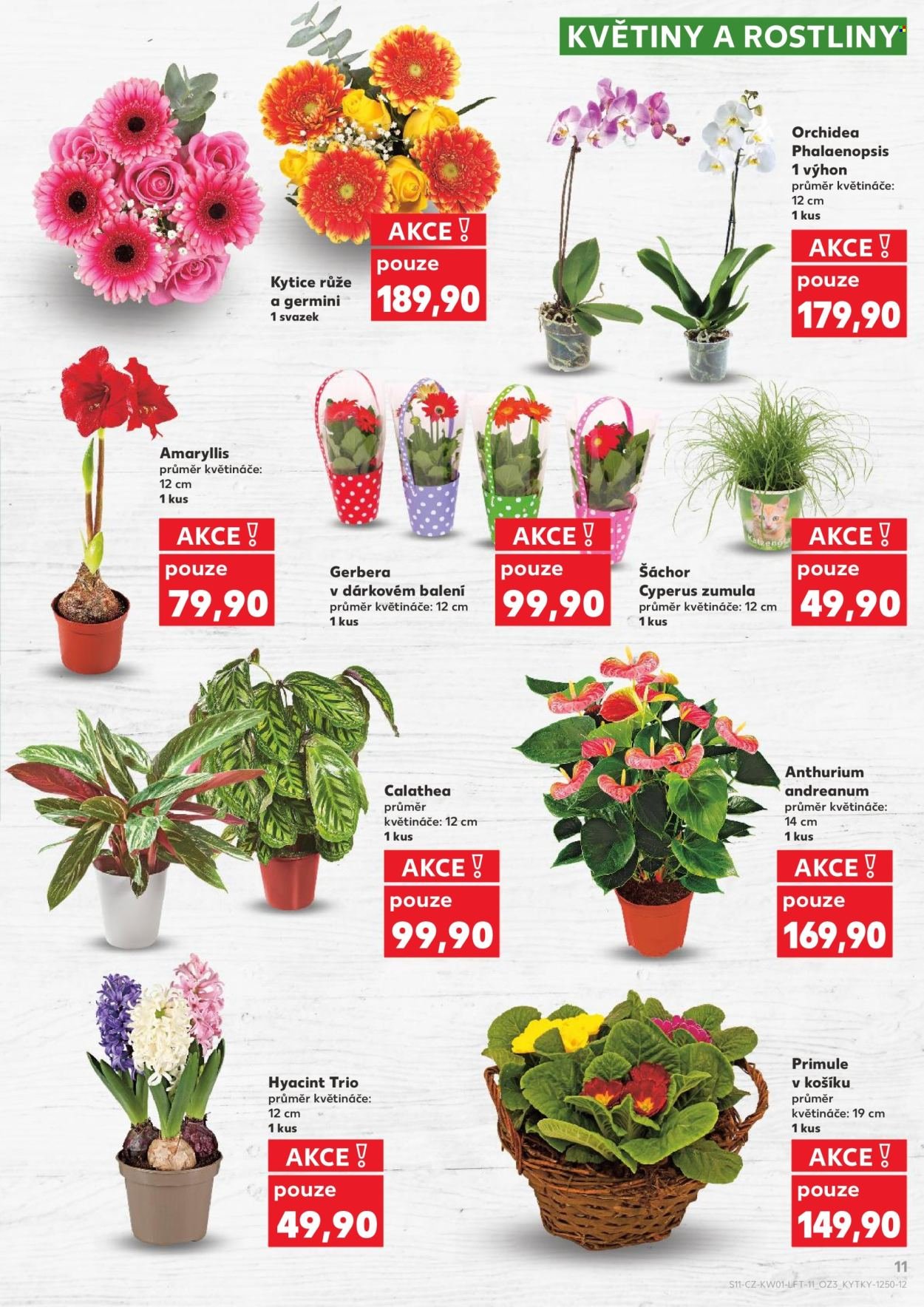 KAUFLAND leták - Od pátku 2.1.2026 (2026-01-02 - 2026-01-06)