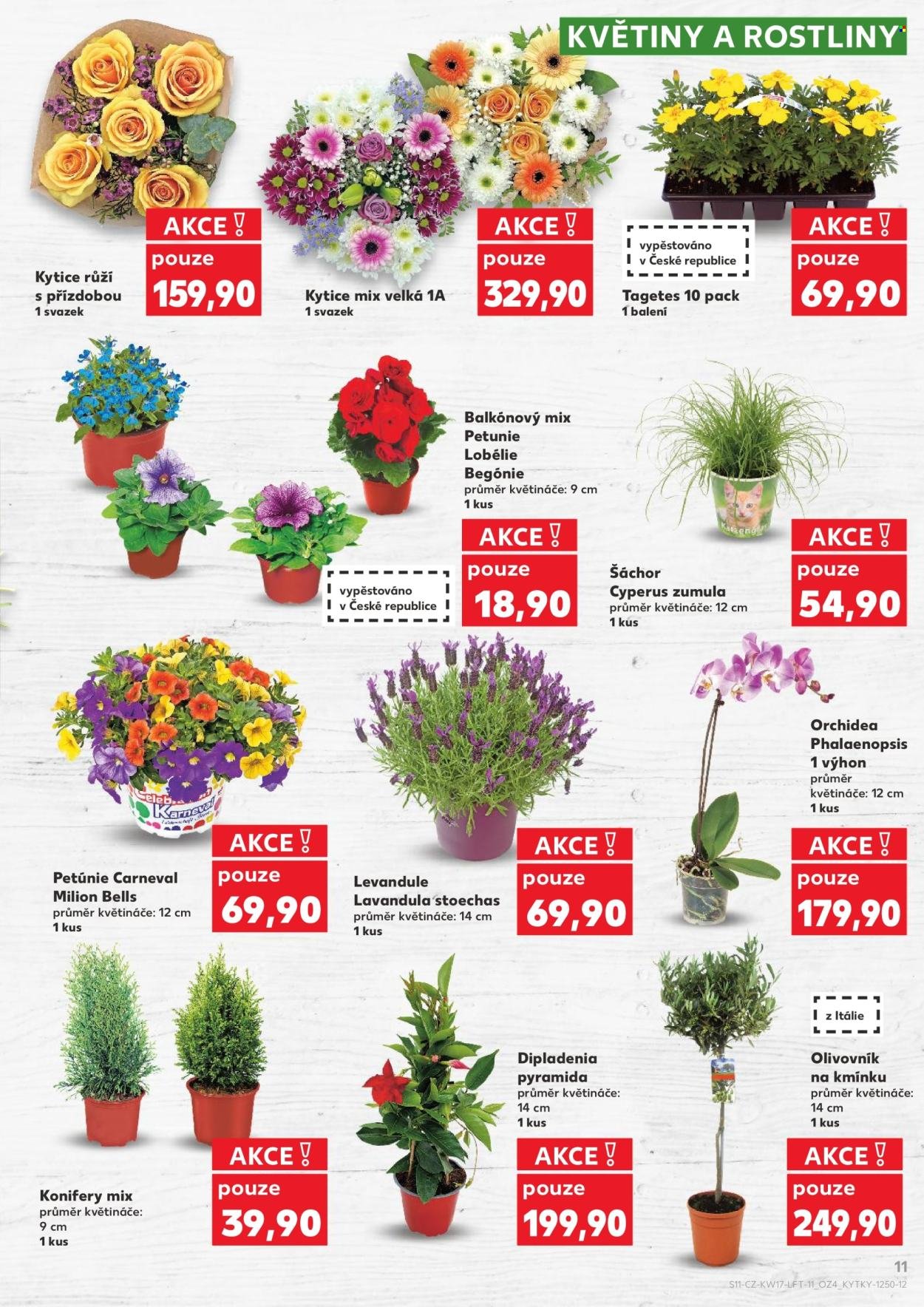 KAUFLAND leták - Od středy 22.4.2026 (2026-04-22 - 2026-04-28)