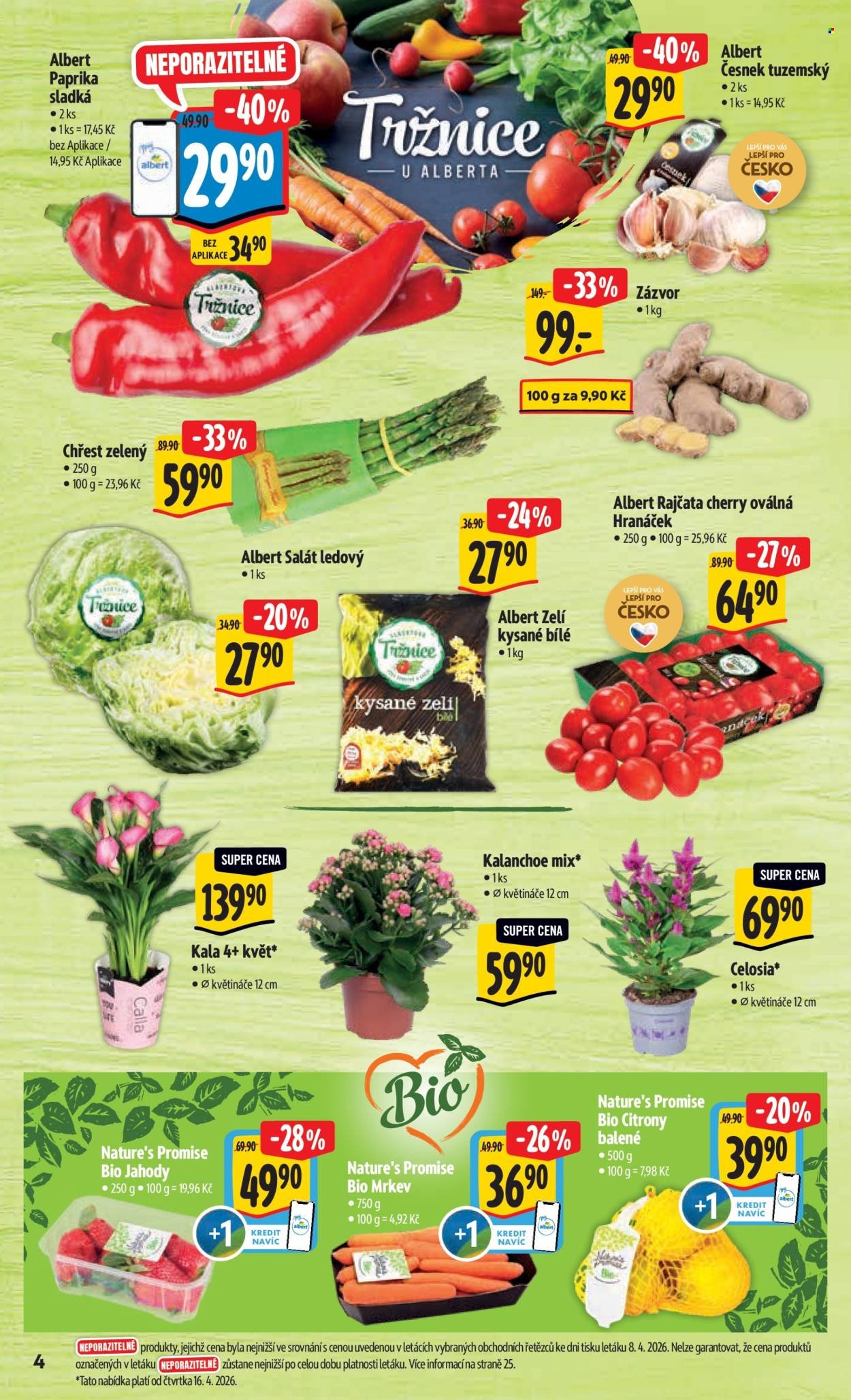 ALBERT leták - Neporazitelné (2026-04-15 - 2026-04-21)