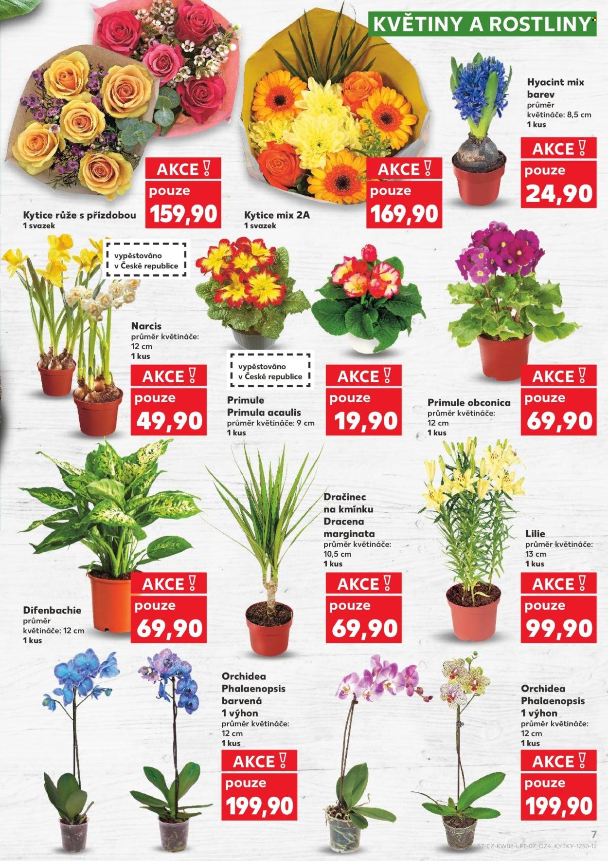 KAUFLAND leták - Od středy 18.2.2026 (2026-02-18 - 2026-02-24)