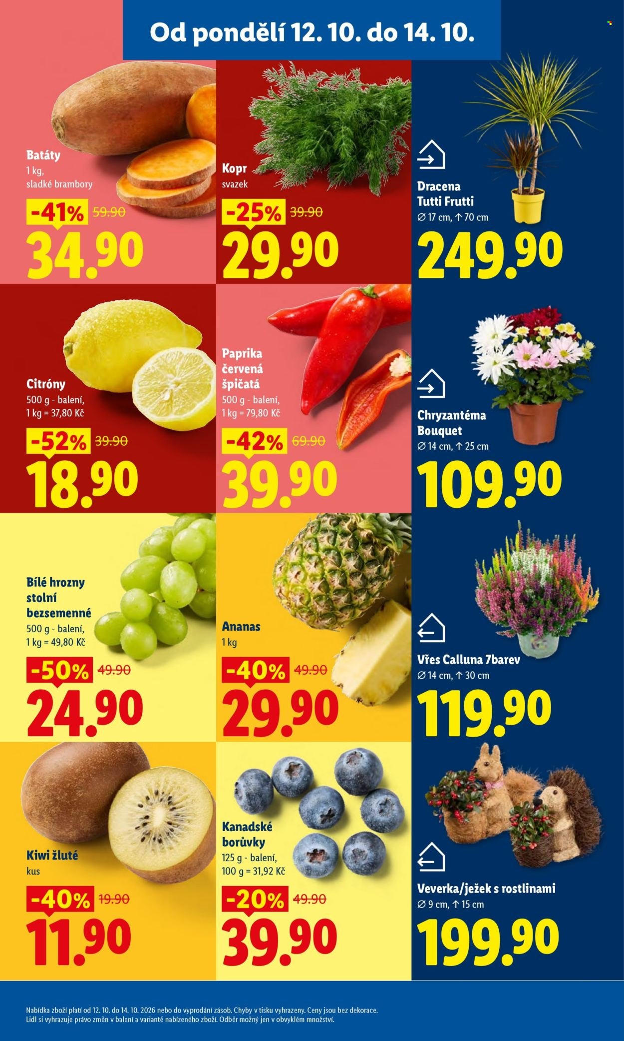 LIDL leták - Od pondělí 12.10.2026