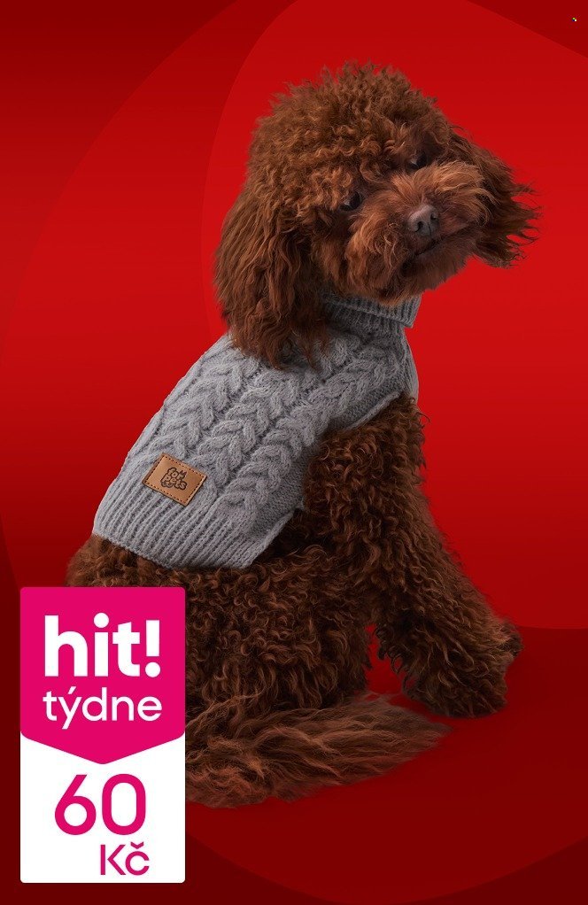 PEPCO leták - hity! týdne (2025-11-13 - 2025-11-19)