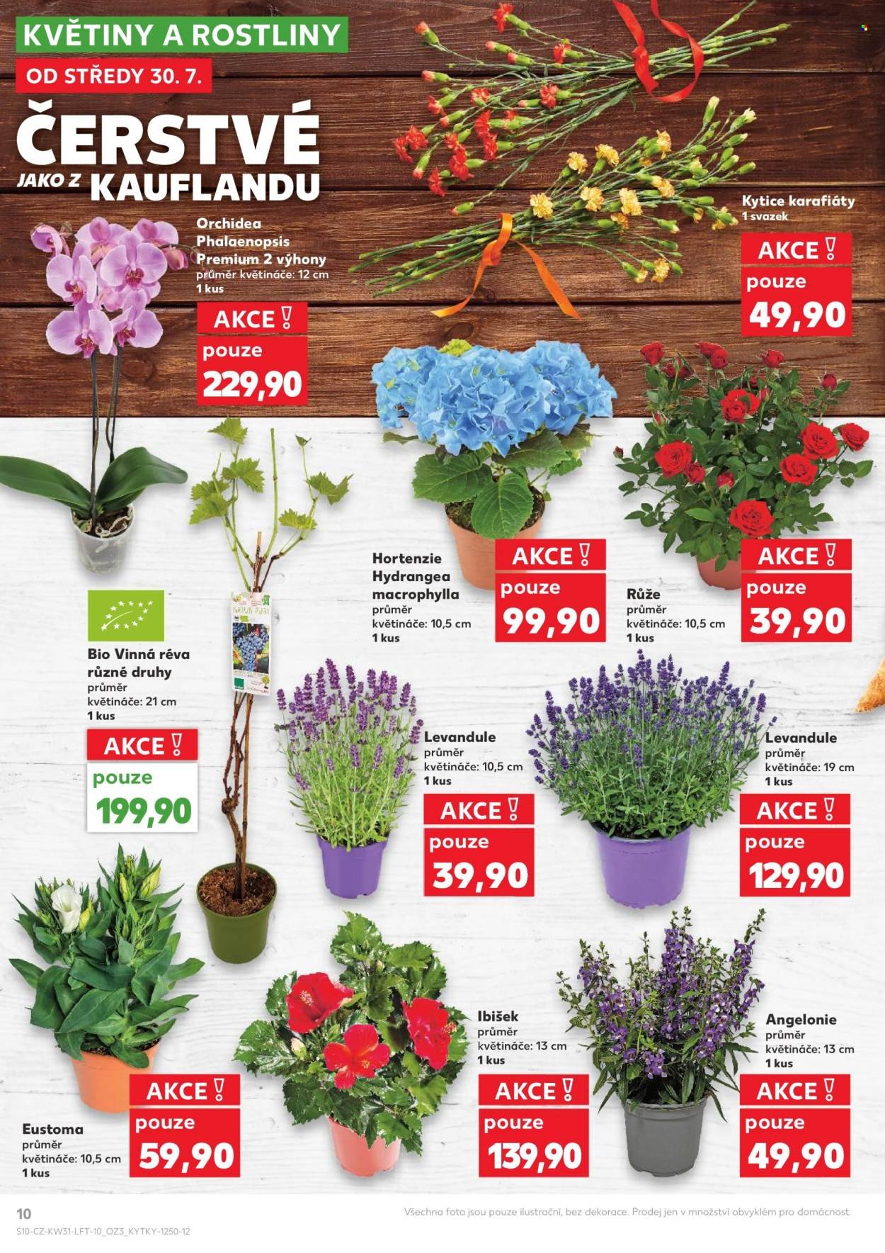 KAUFLAND leták - Od středy 30.7.2025 (2025-07-30 - 2025-08-05)