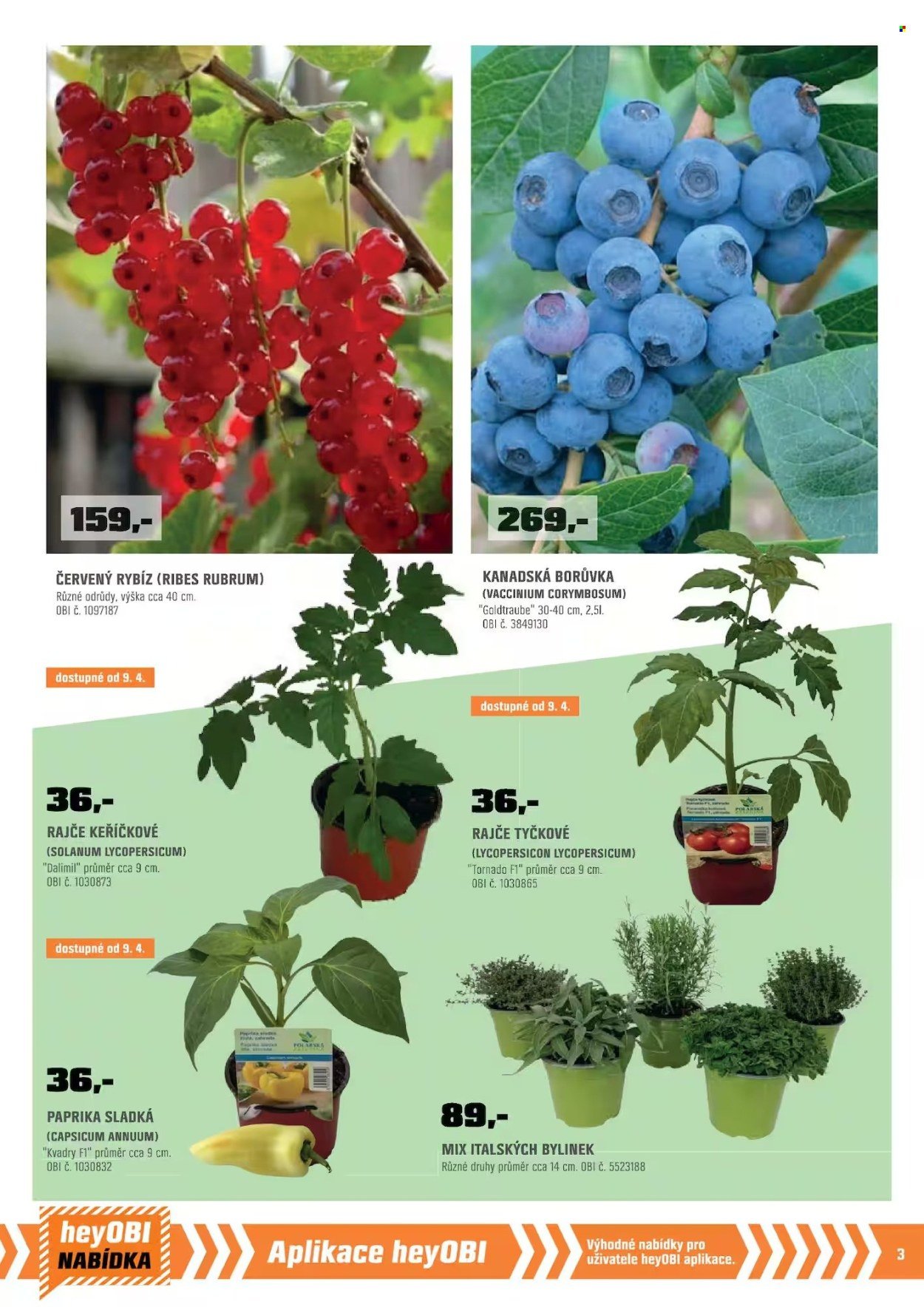 OBI leták - Bobří síla v akci (2026-04-01 - 2026-04-30)