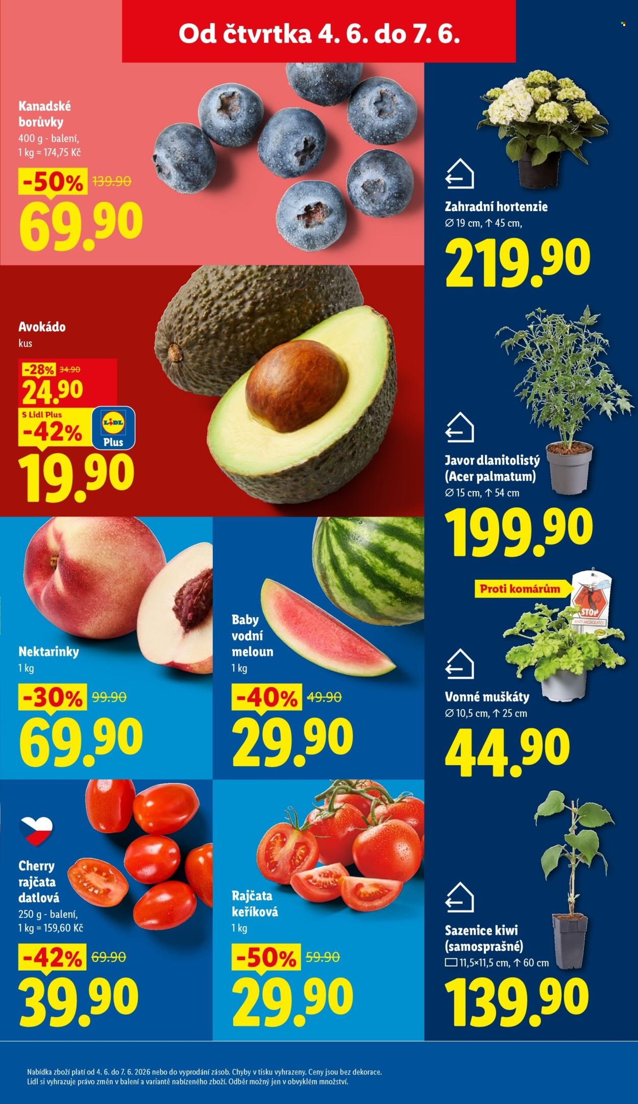 LIDL leták - Od čtvrtka 4.6.2026 (2026-06-04 - 2026-06-07)
